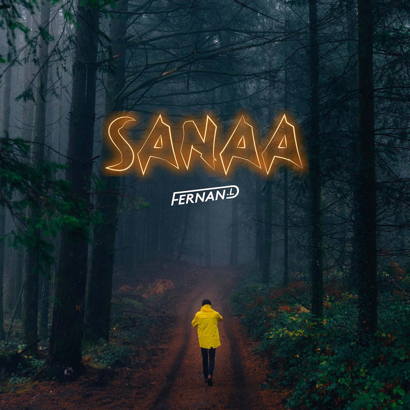 Постер альбома Sanaa