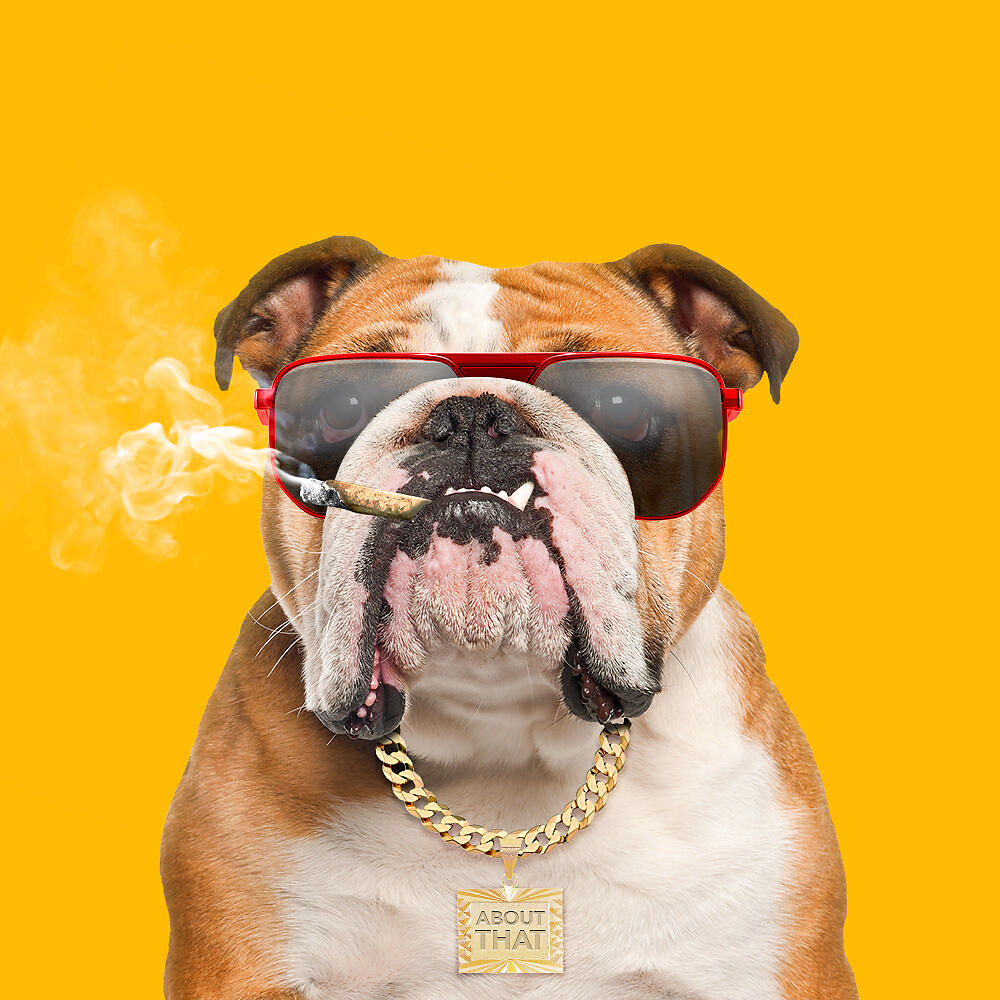 ABOUT THAT - Who Let The Dogs Out (feat. EVALINA)