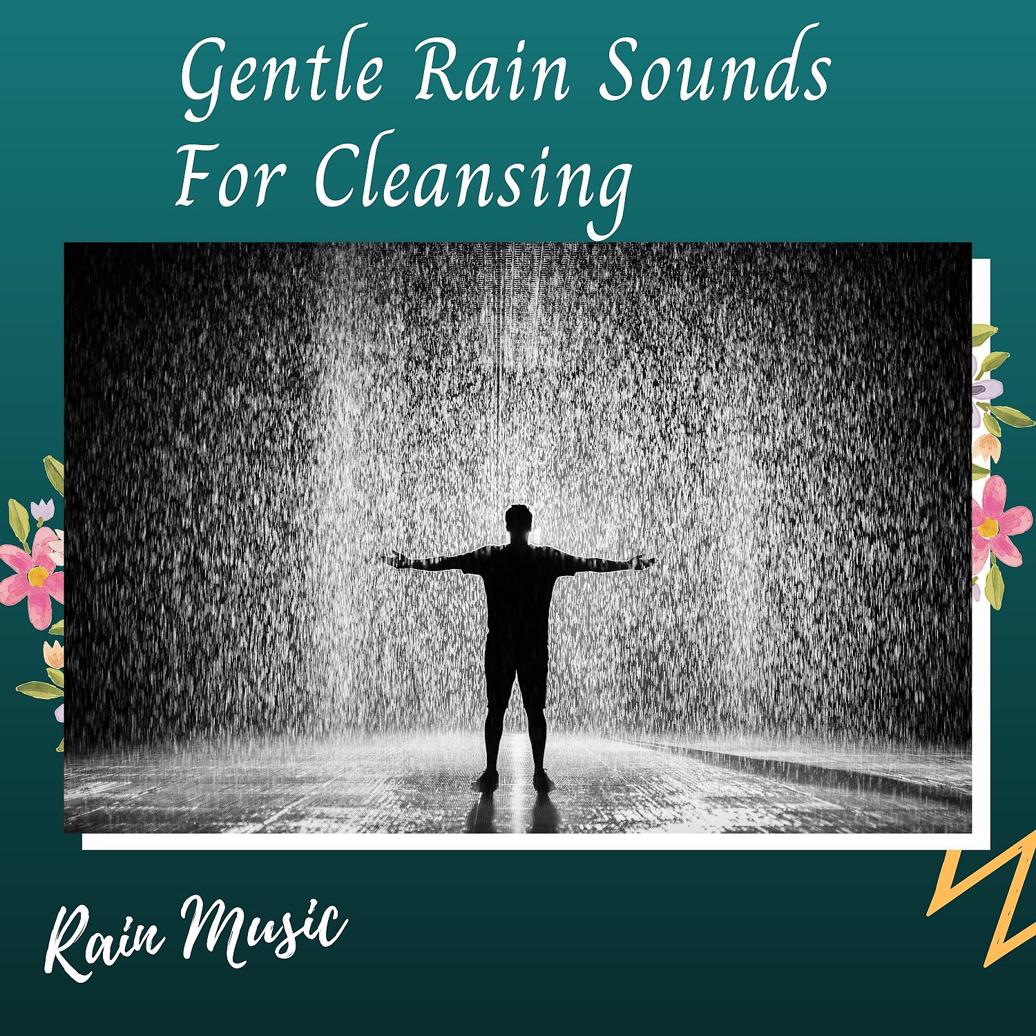 Постер альбома Rain Music: Gentle Rain Sounds For Cleansing