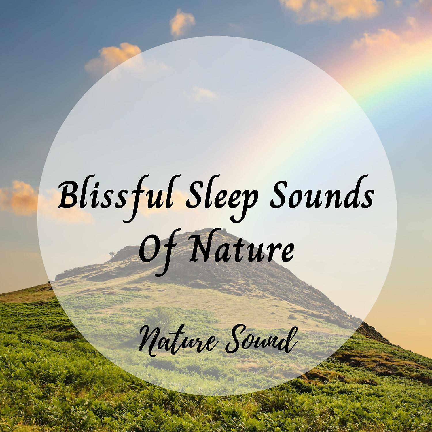 Постер альбома Nature Sound: Blissful Sleep Sounds Of Nature