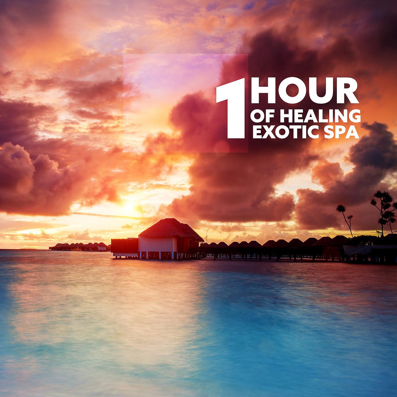 Постер альбома 1 Hour of Healing Exotic Spa
