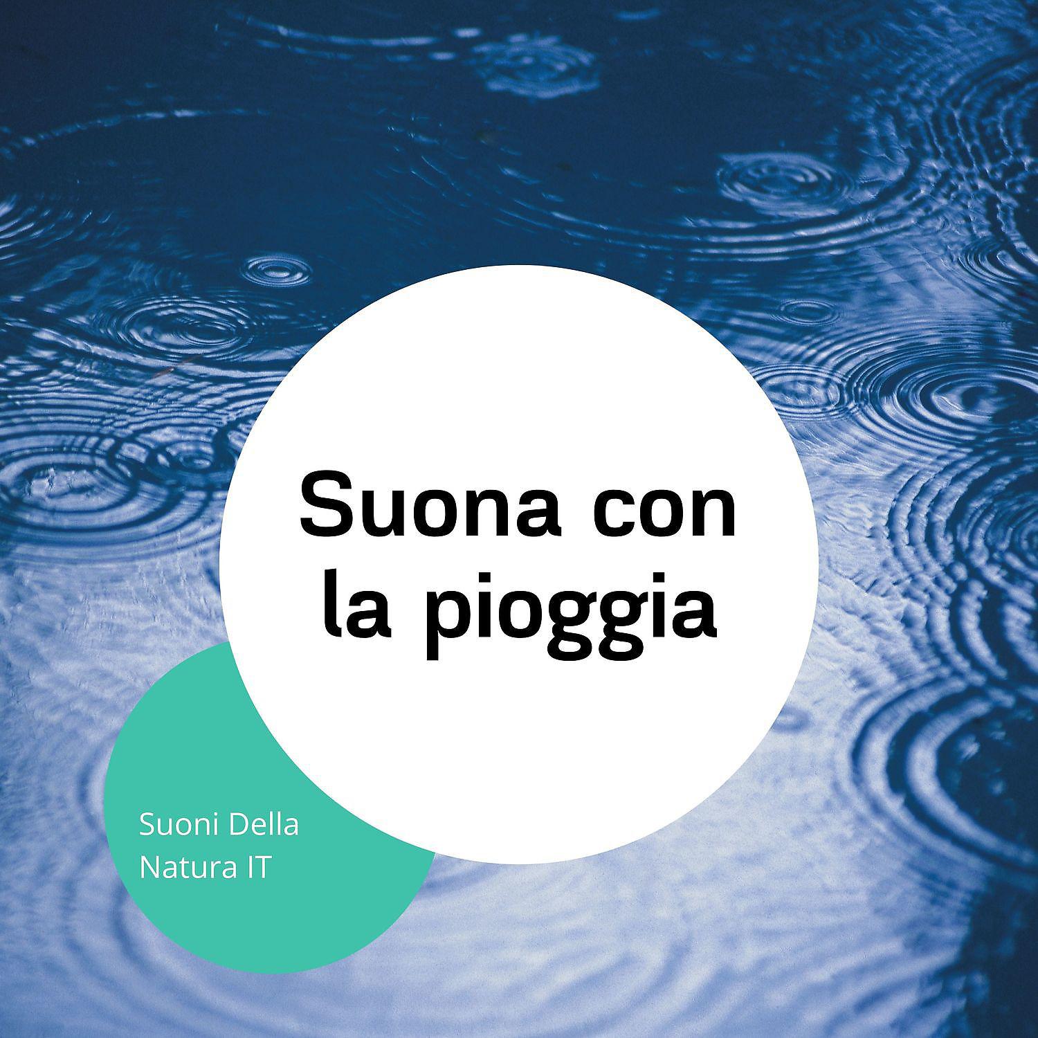 Постер альбома Suona con la pioggia