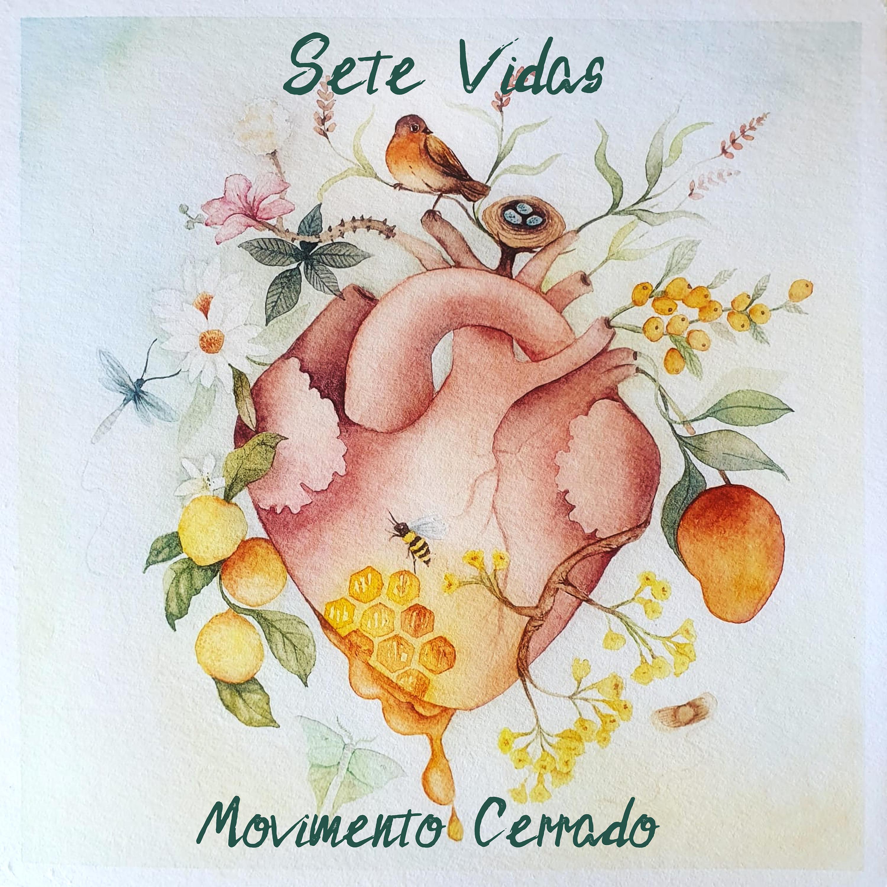 Постер альбома Sete Vidas