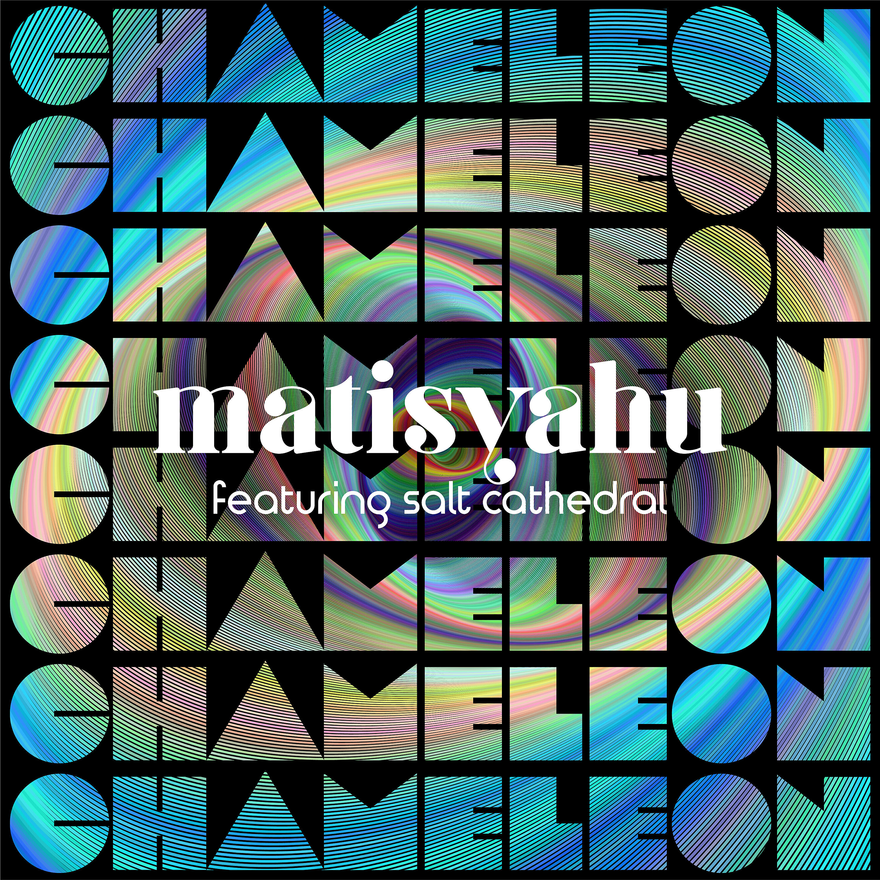 Matisyahu - Chameleon (feat. Salt Cathedral)