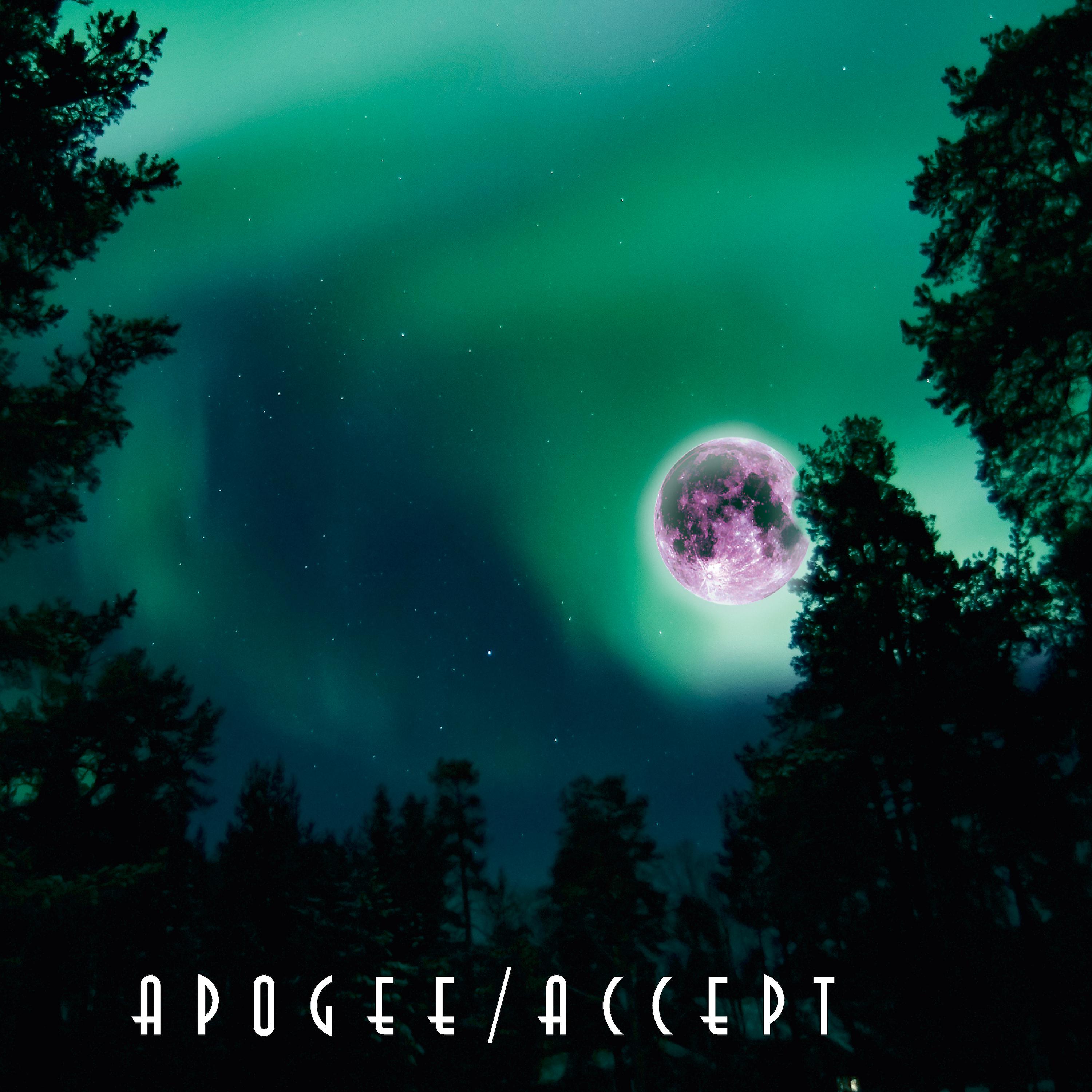 Постер альбома APOGEE
