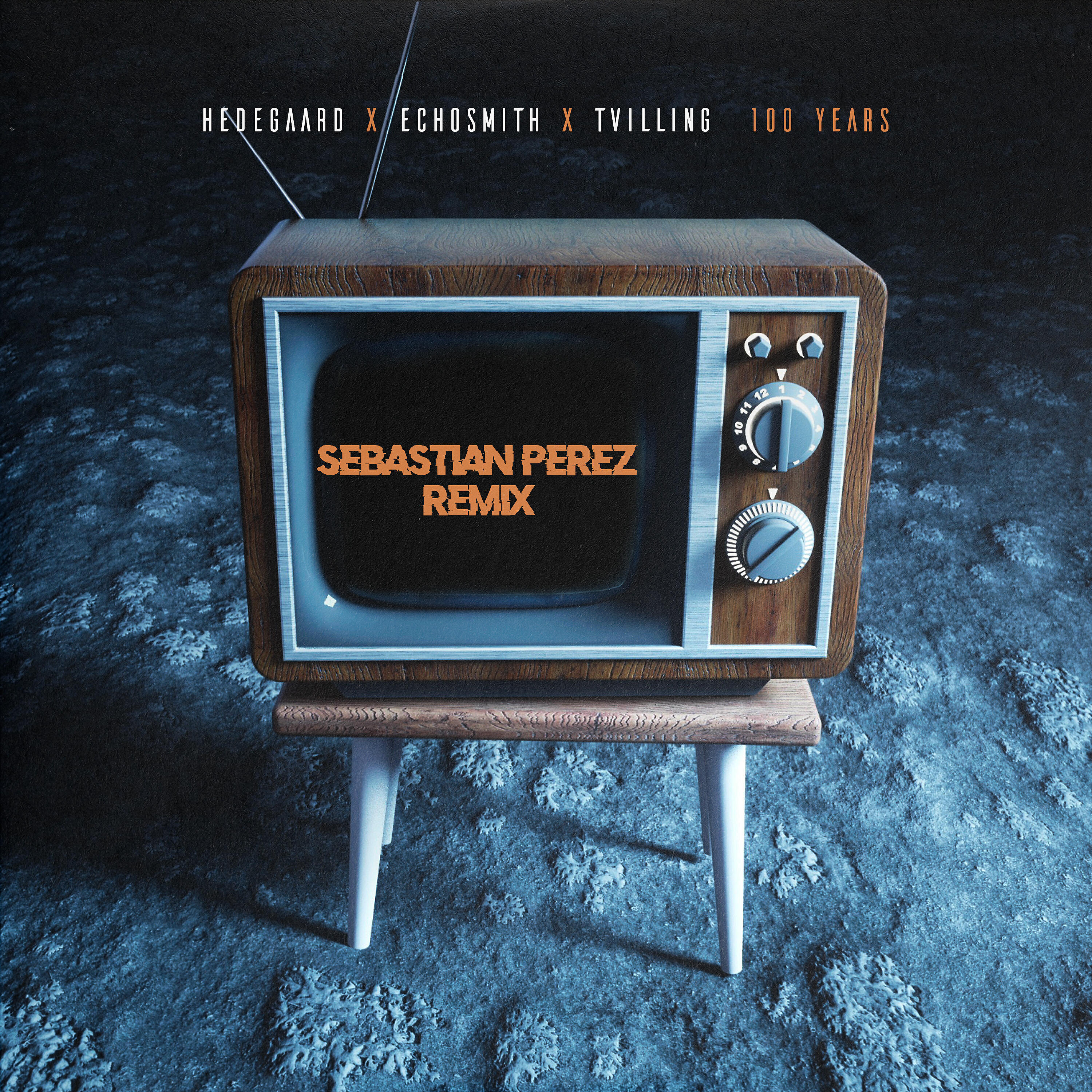 HEDEGAARD - 100 Years (Sebastian Perez Remix)