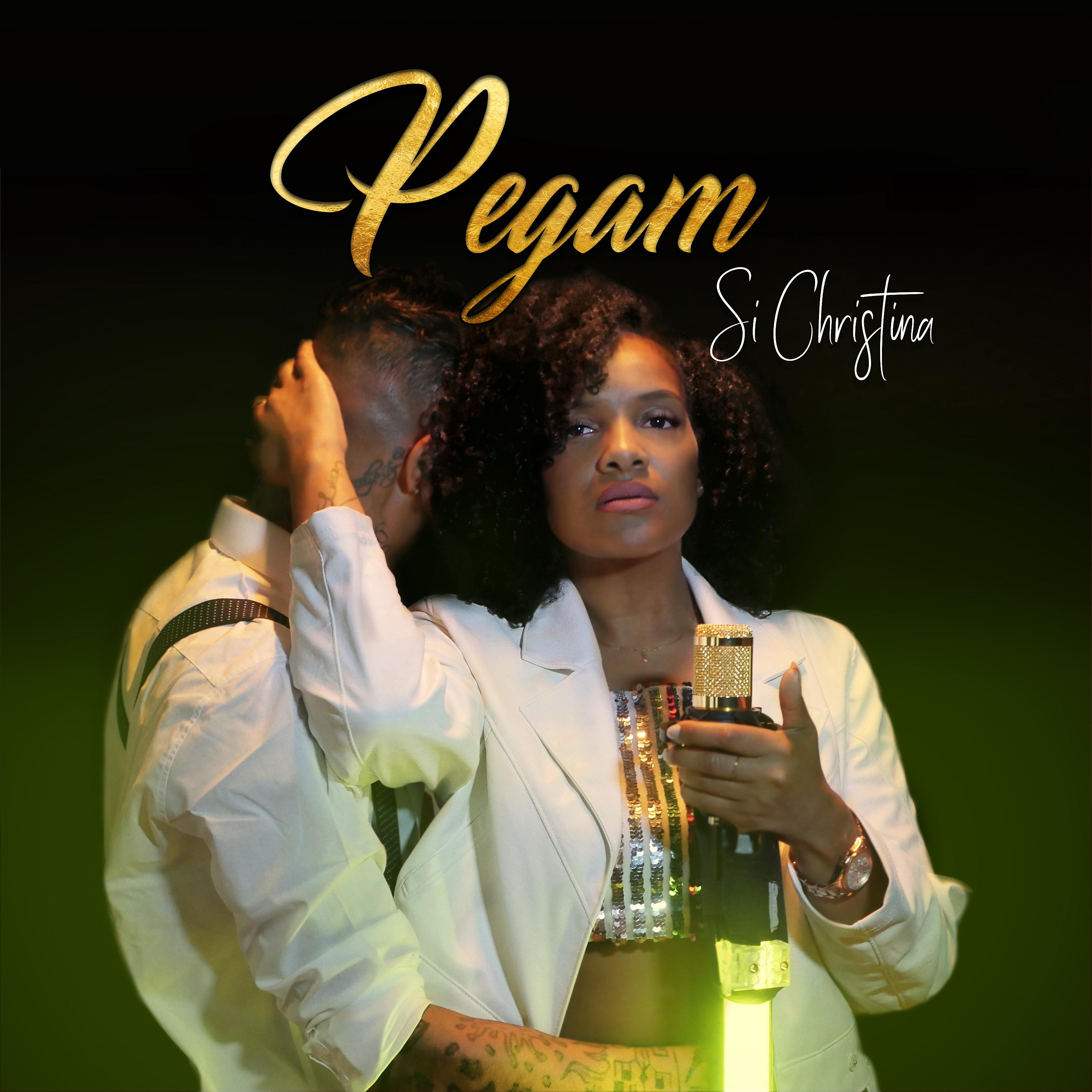 Постер альбома Pegam