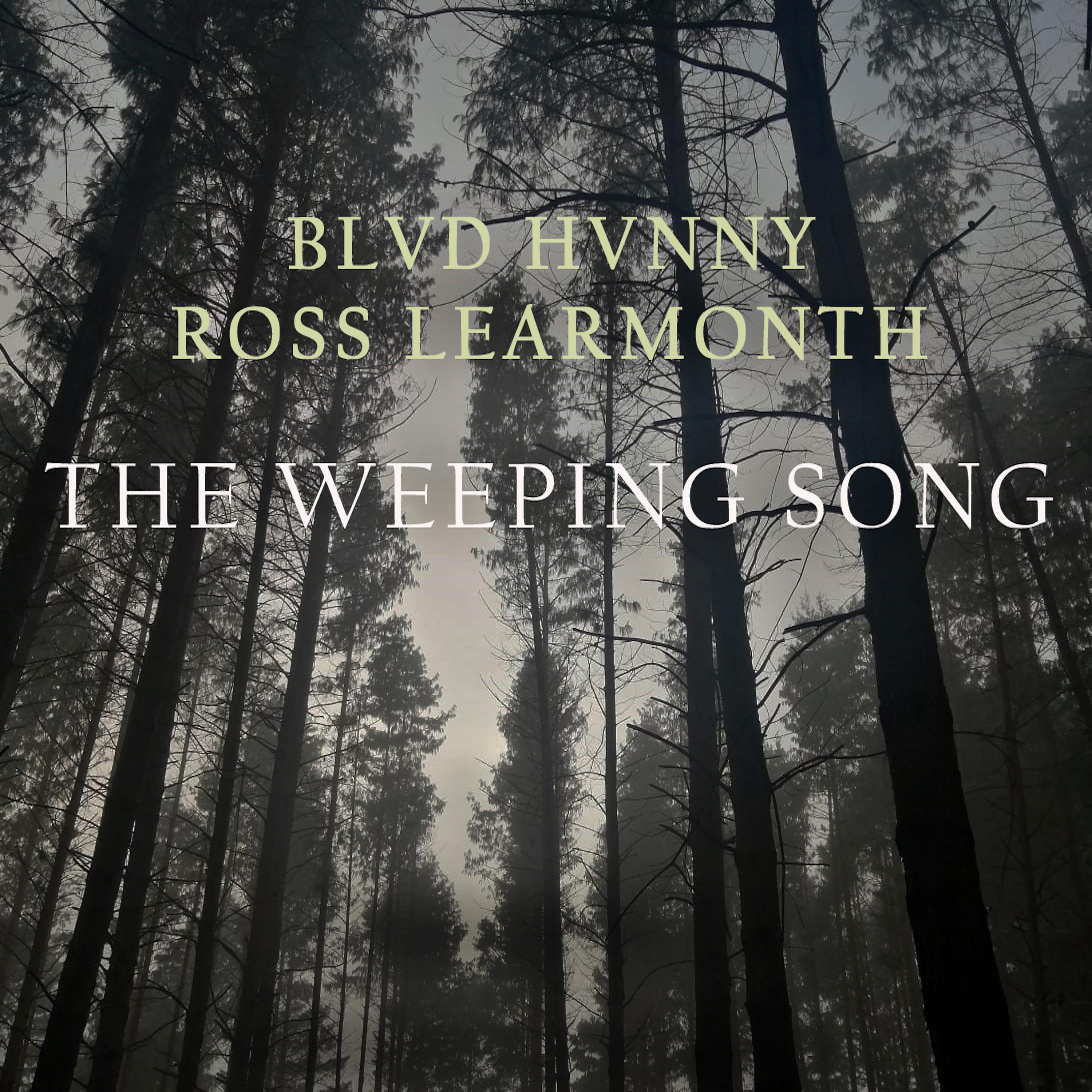 Постер альбома The Weeping Song