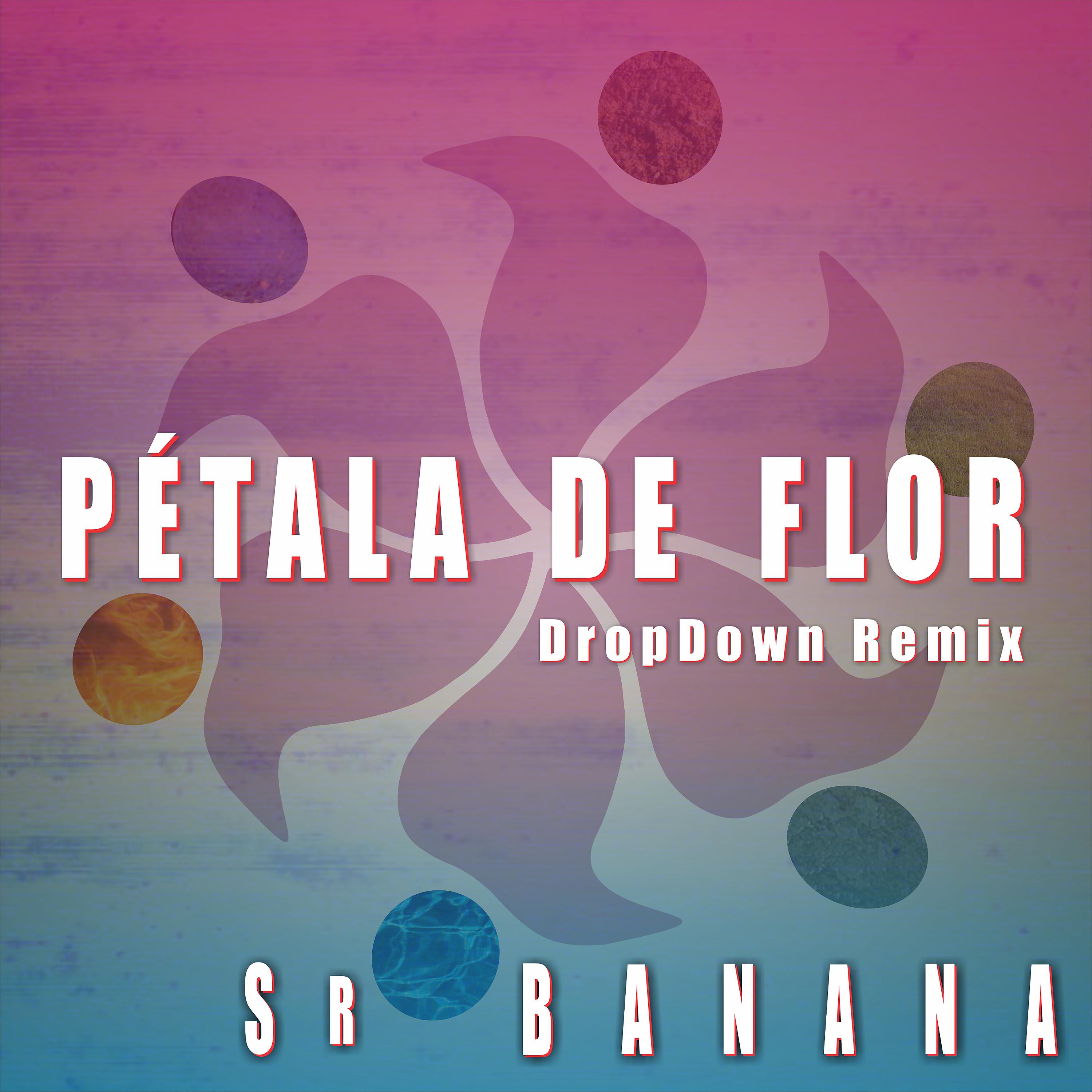 Постер альбома Pétala de Flor (Dropdown Remix)