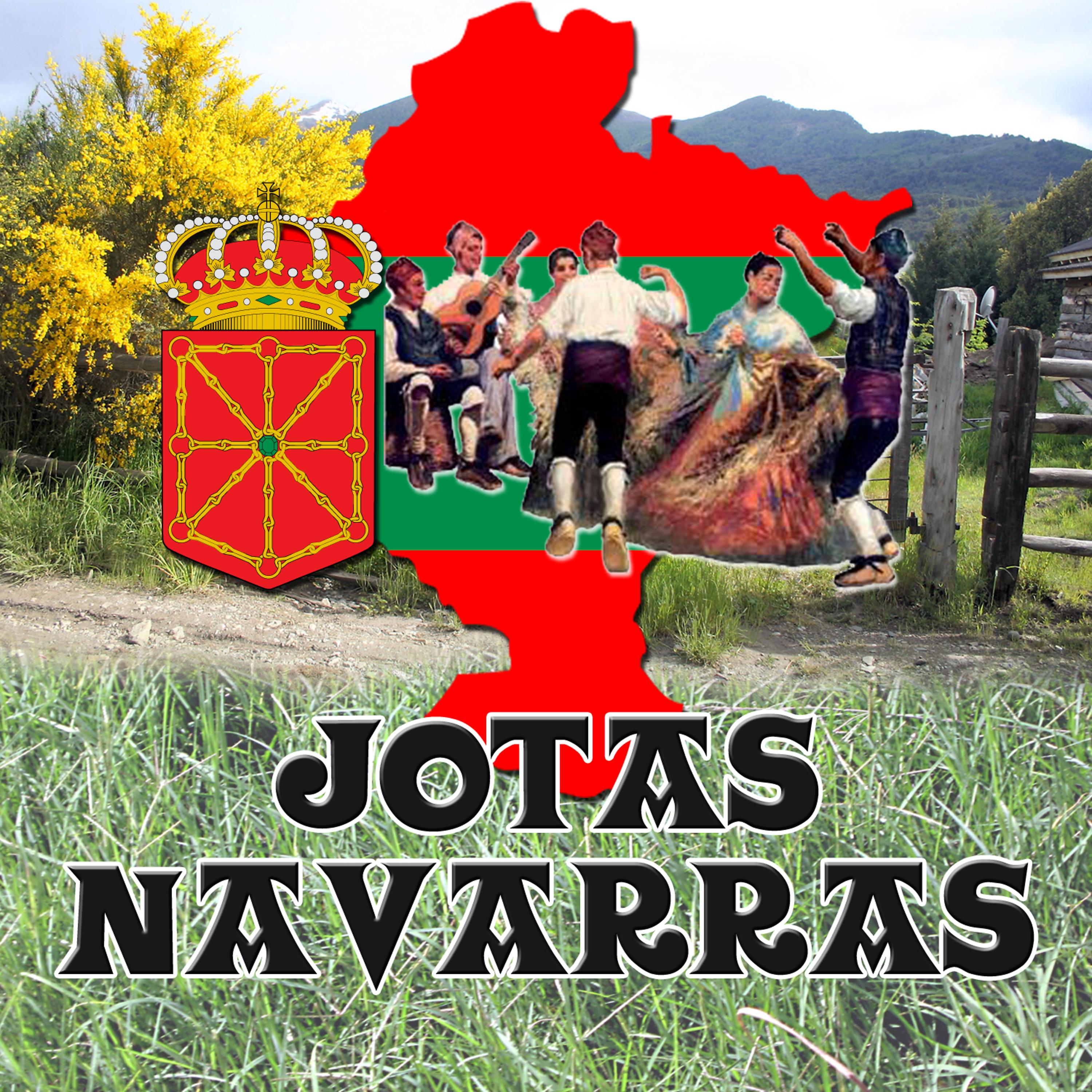 Постер альбома Jotas Y Musica Tradicional De Navarra