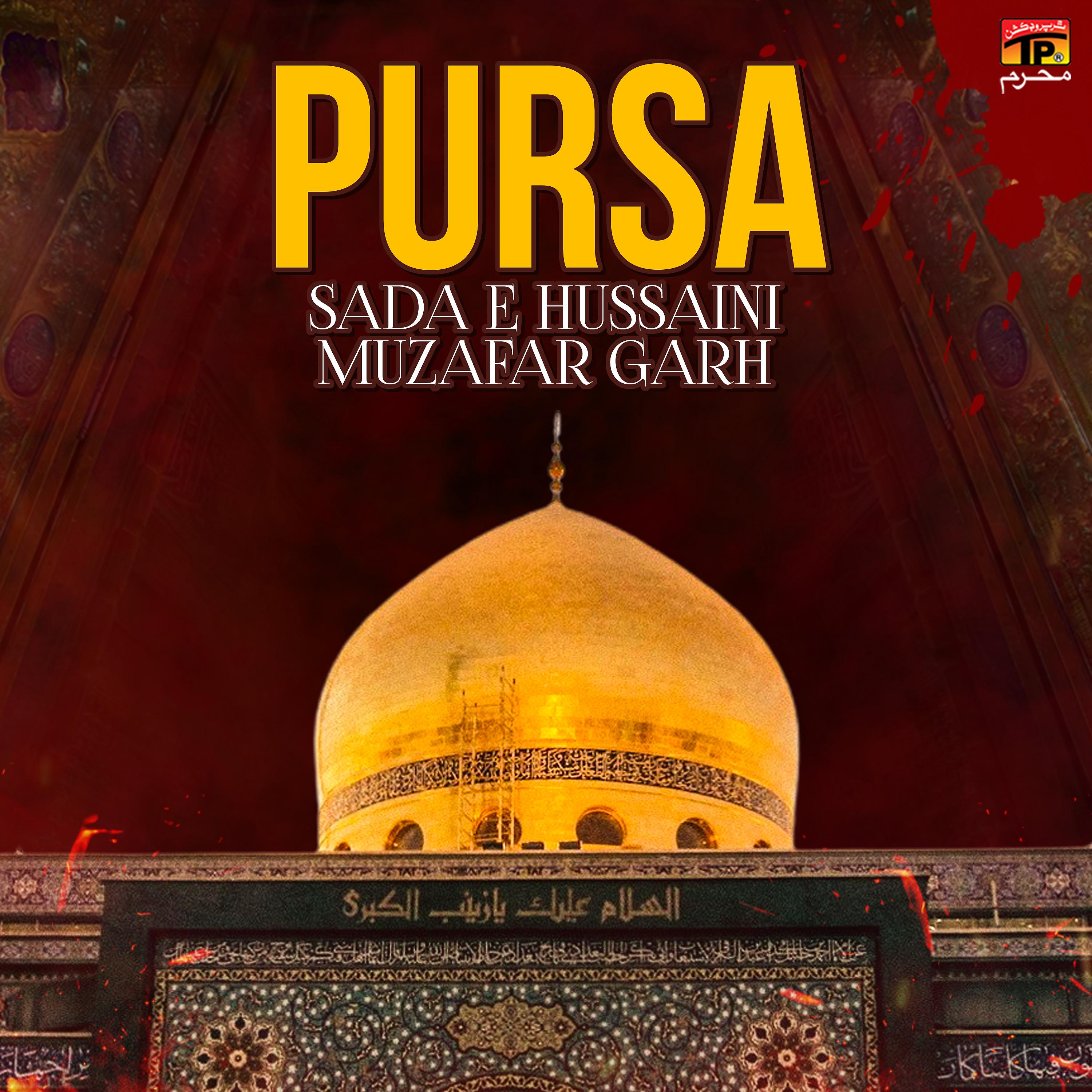 Постер альбома Pursa
