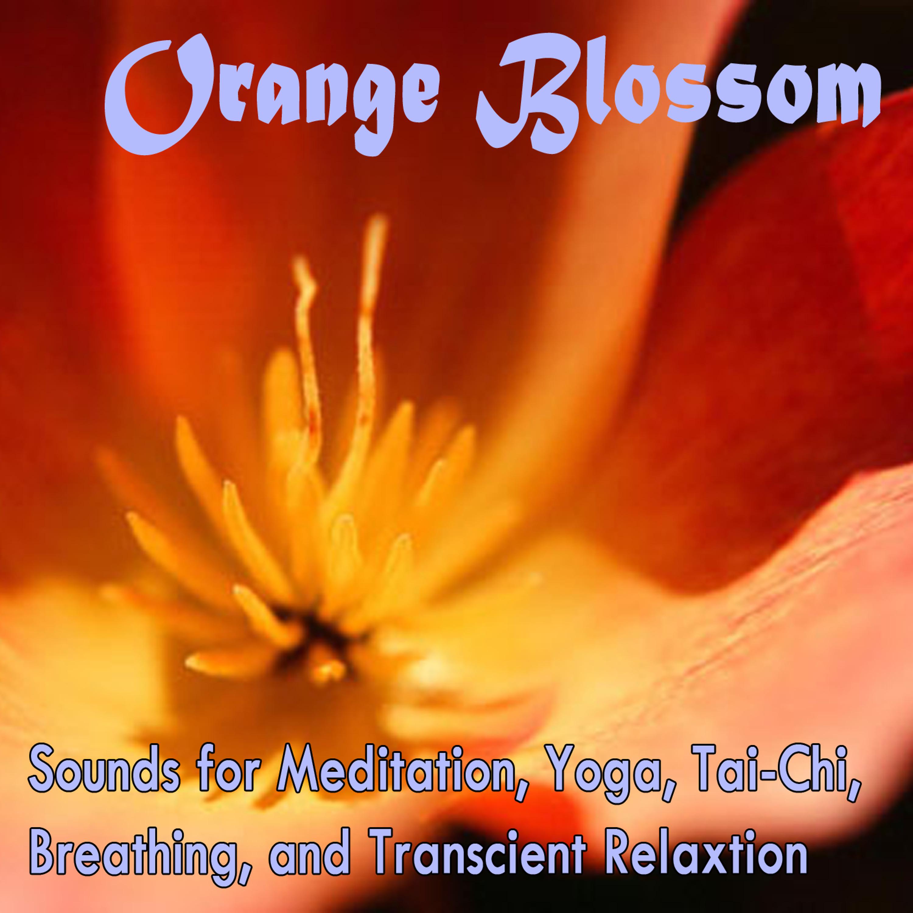 Постер альбома Orange Blossom: Meditation, Yoga, Tai-Chi, Breathing, and Transient Relaxation