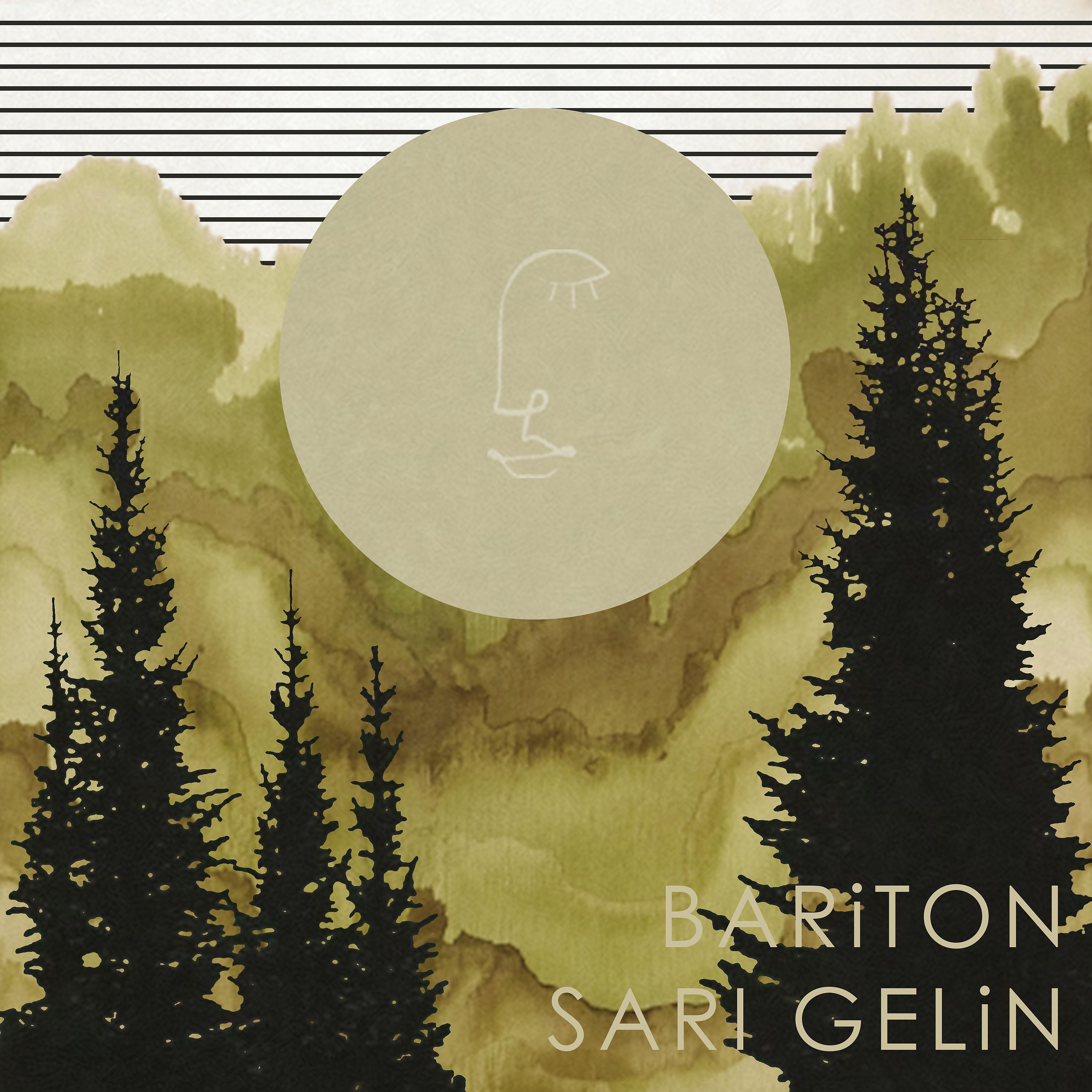 Постер альбома Sarı Gelin (Cover)