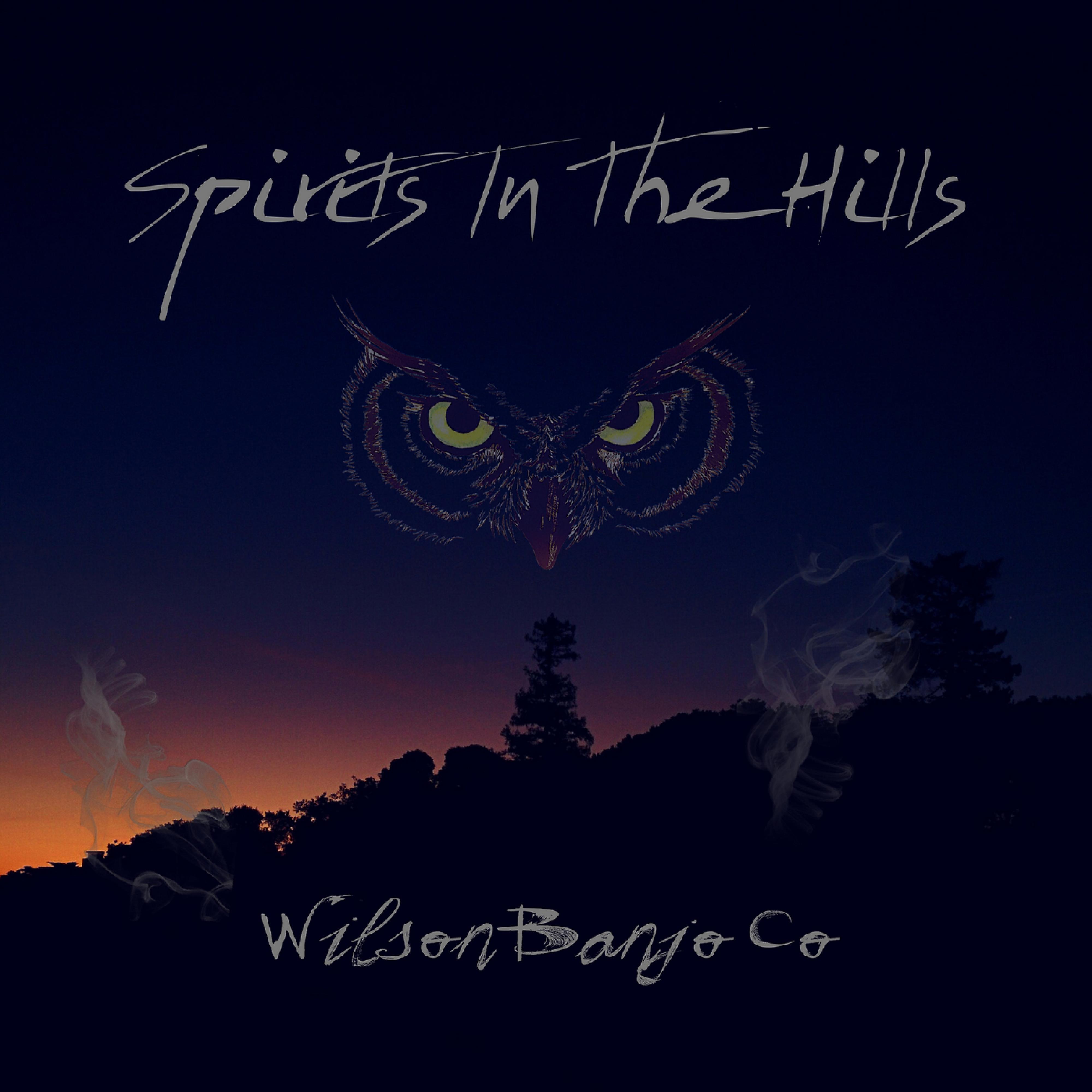 Постер альбома Spirits In The Hills