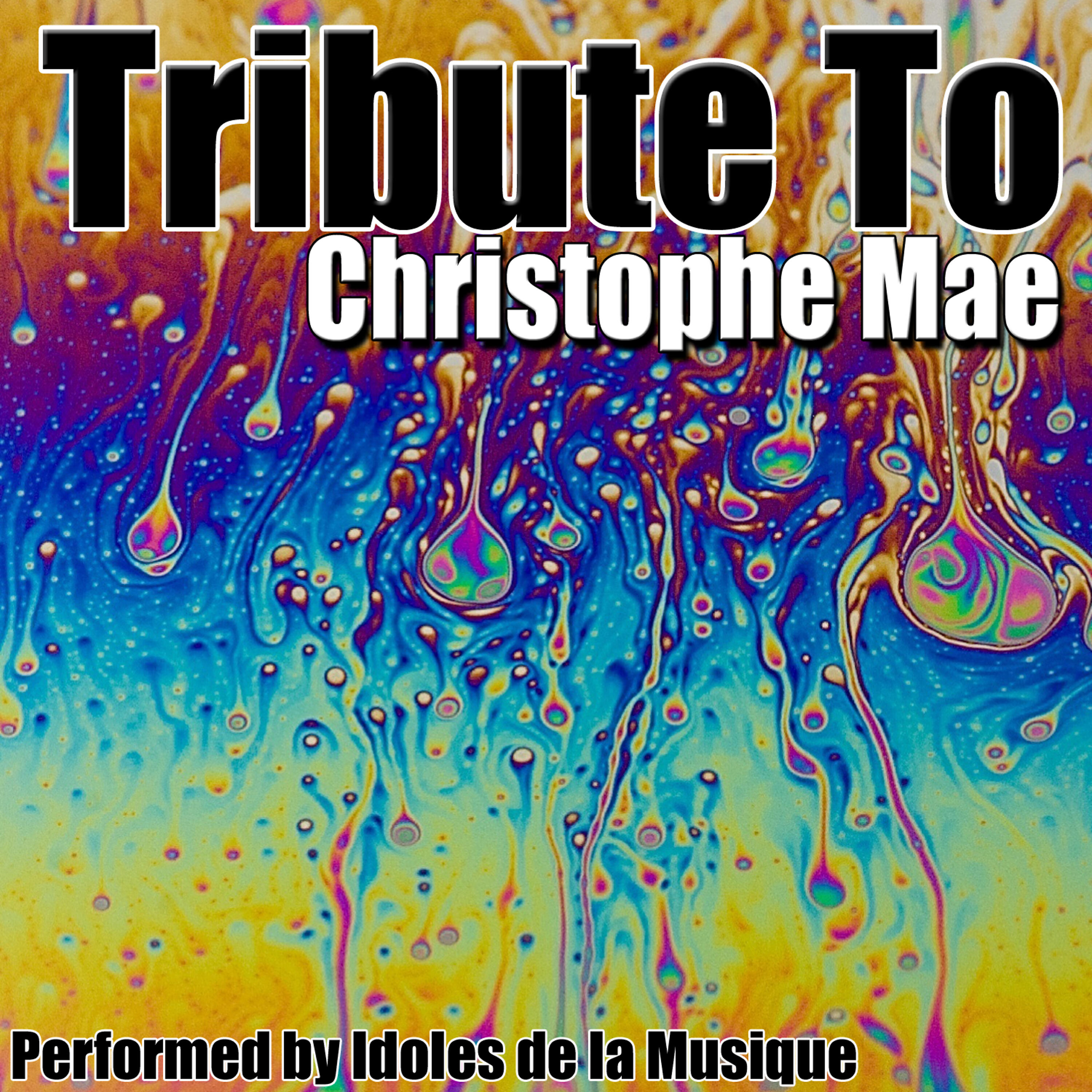 Idoles de la Musique - Pourquoi c'est beau...