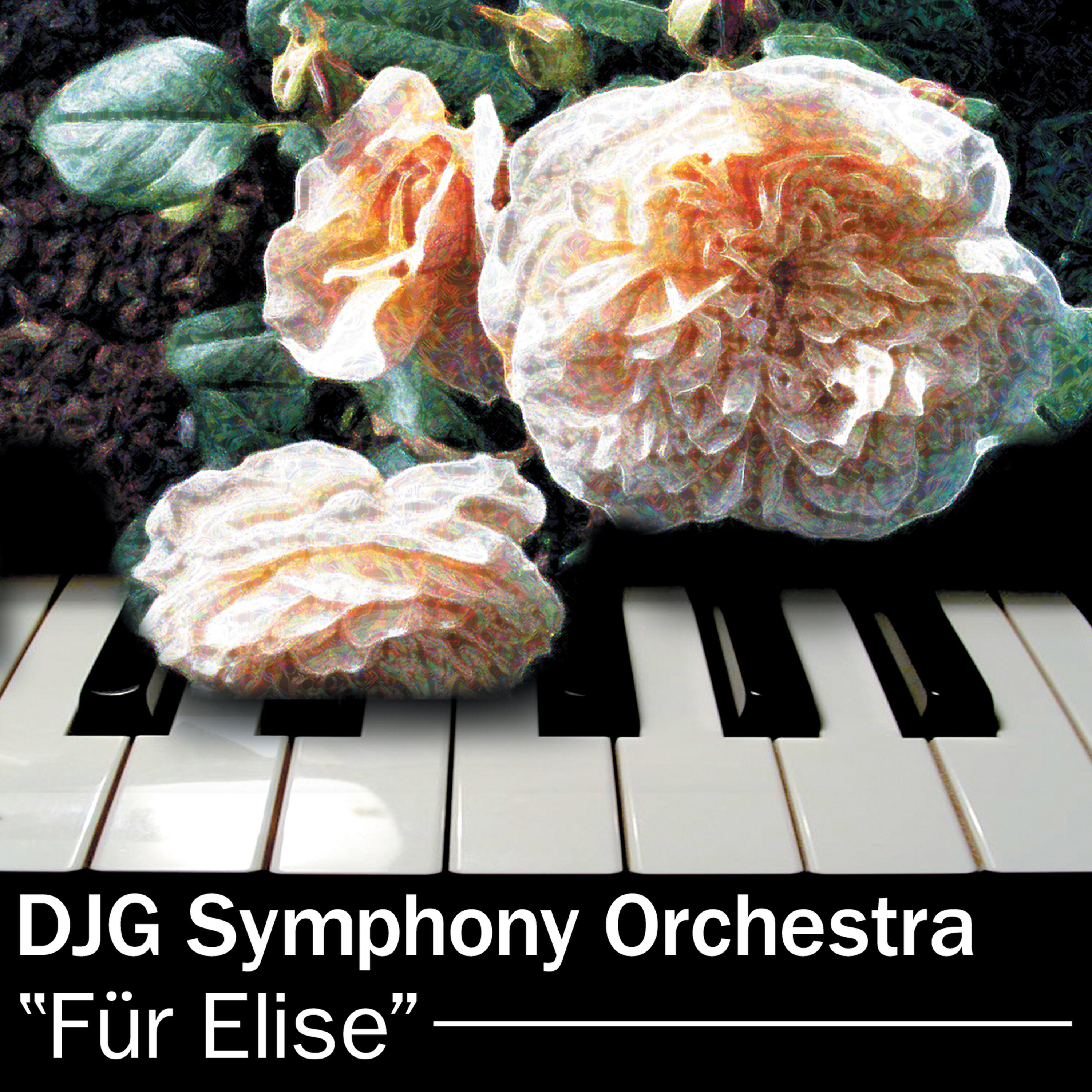 DJG Symphony Orchestra - Für Elise
