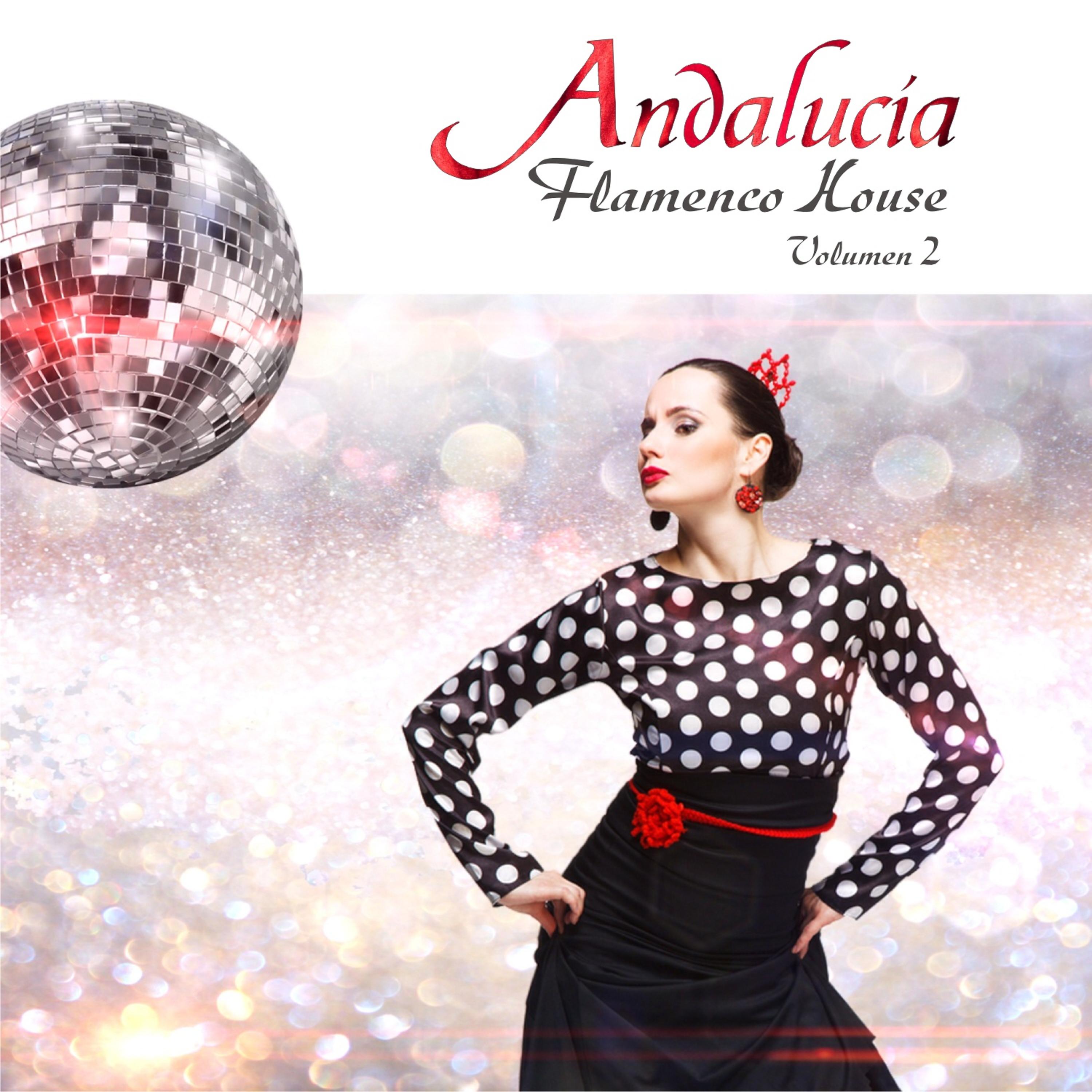 Постер альбома Andalucía Flamenco House, Vol. 2