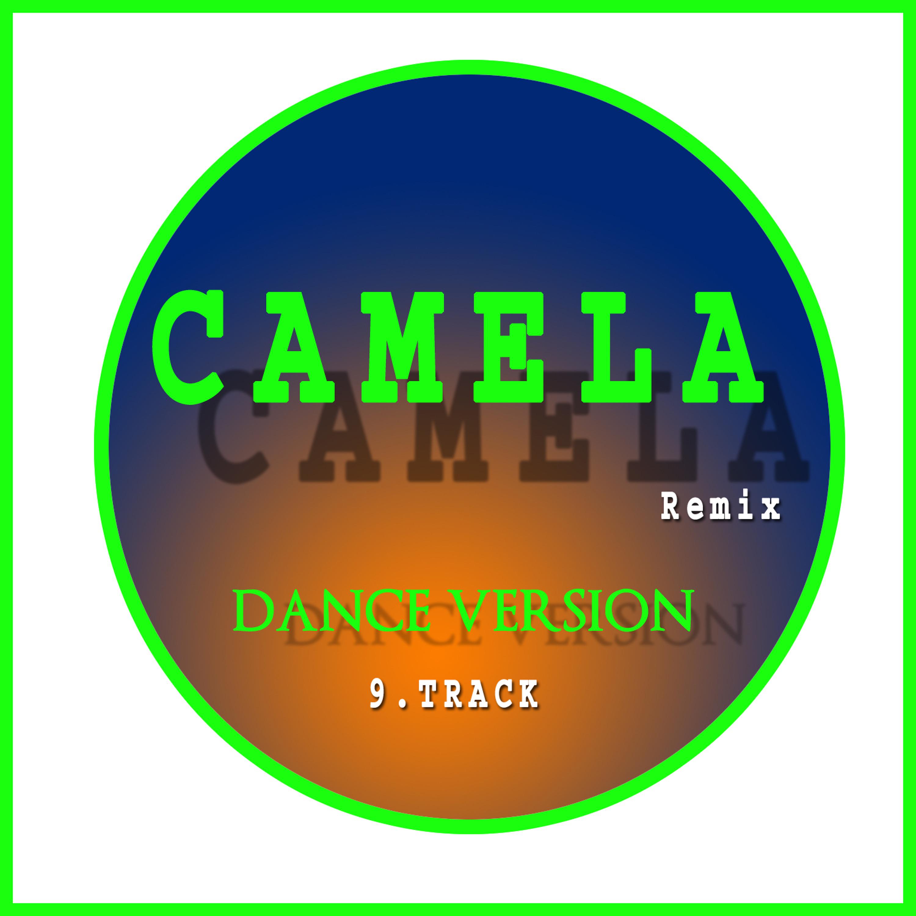 Постер альбома Camela Remix  Dance Version 9. Track