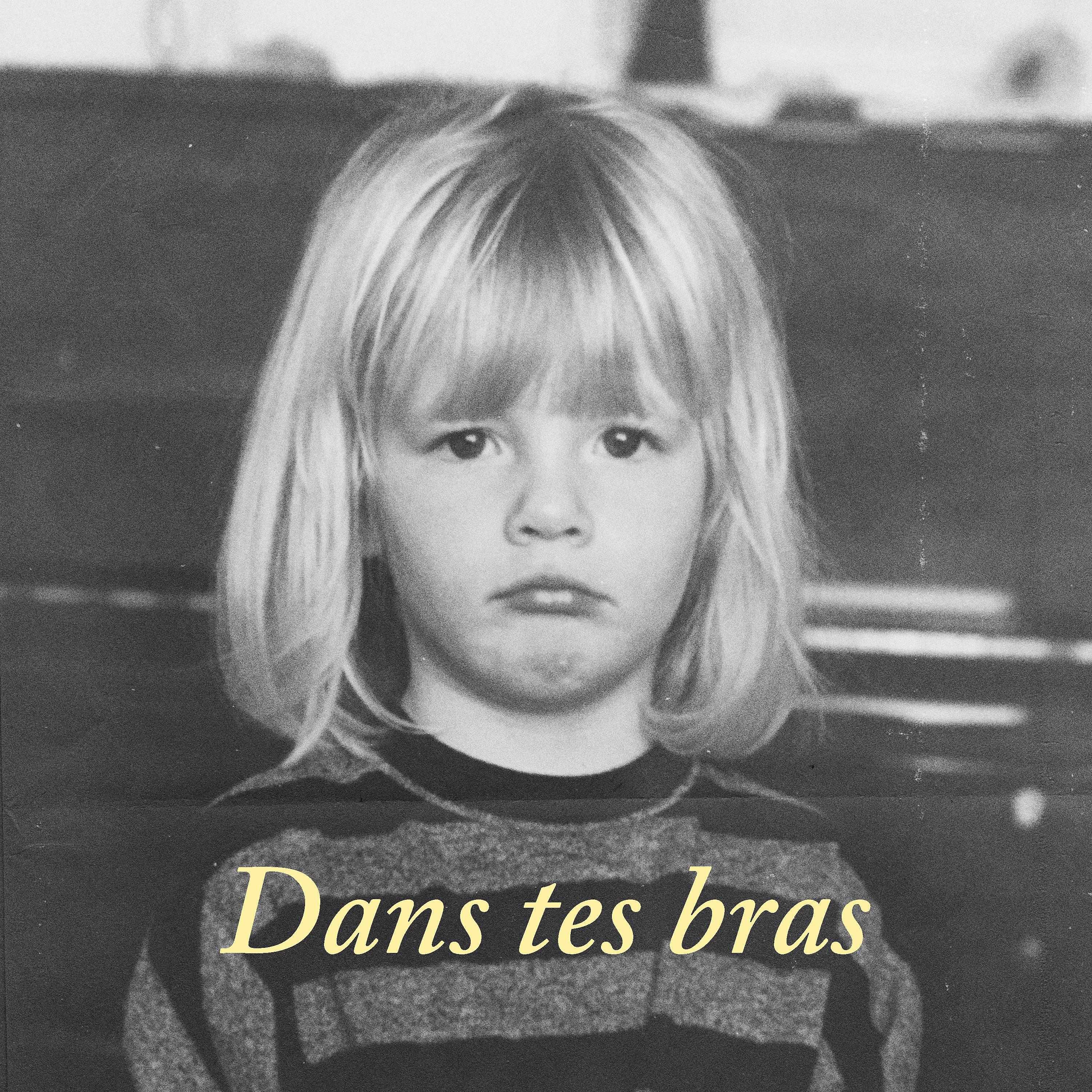 Постер альбома Dans tes bras