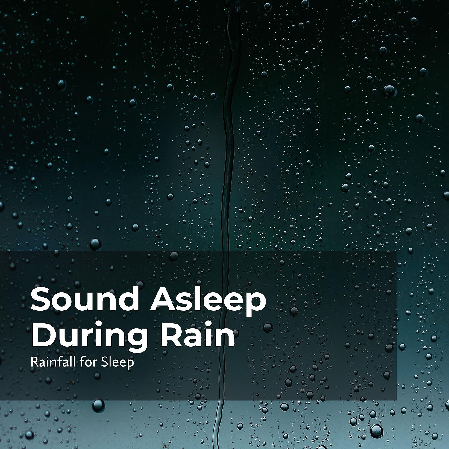 Постер альбома Sound Asleep During Rain
