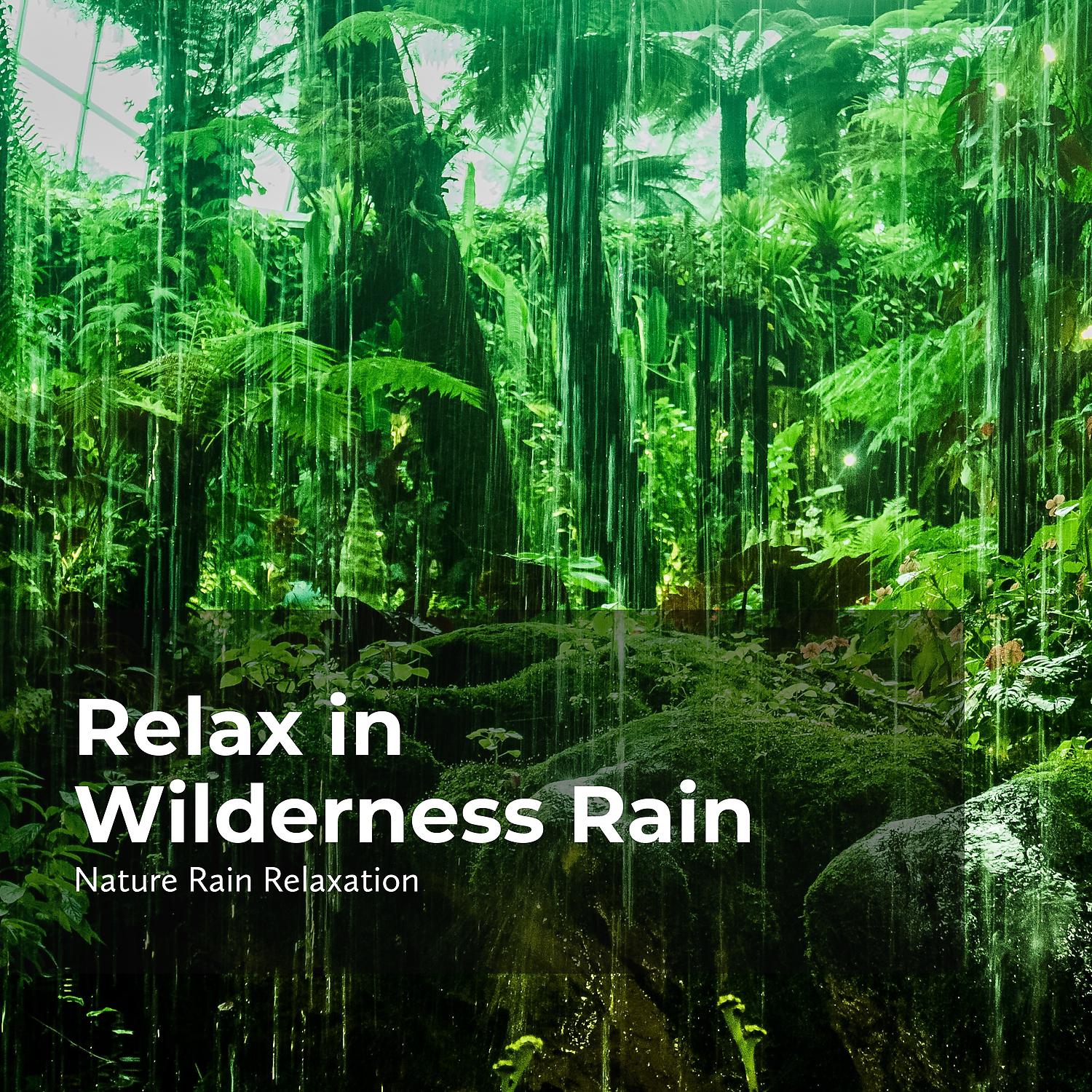 Постер альбома Relax in Wilderness Rain