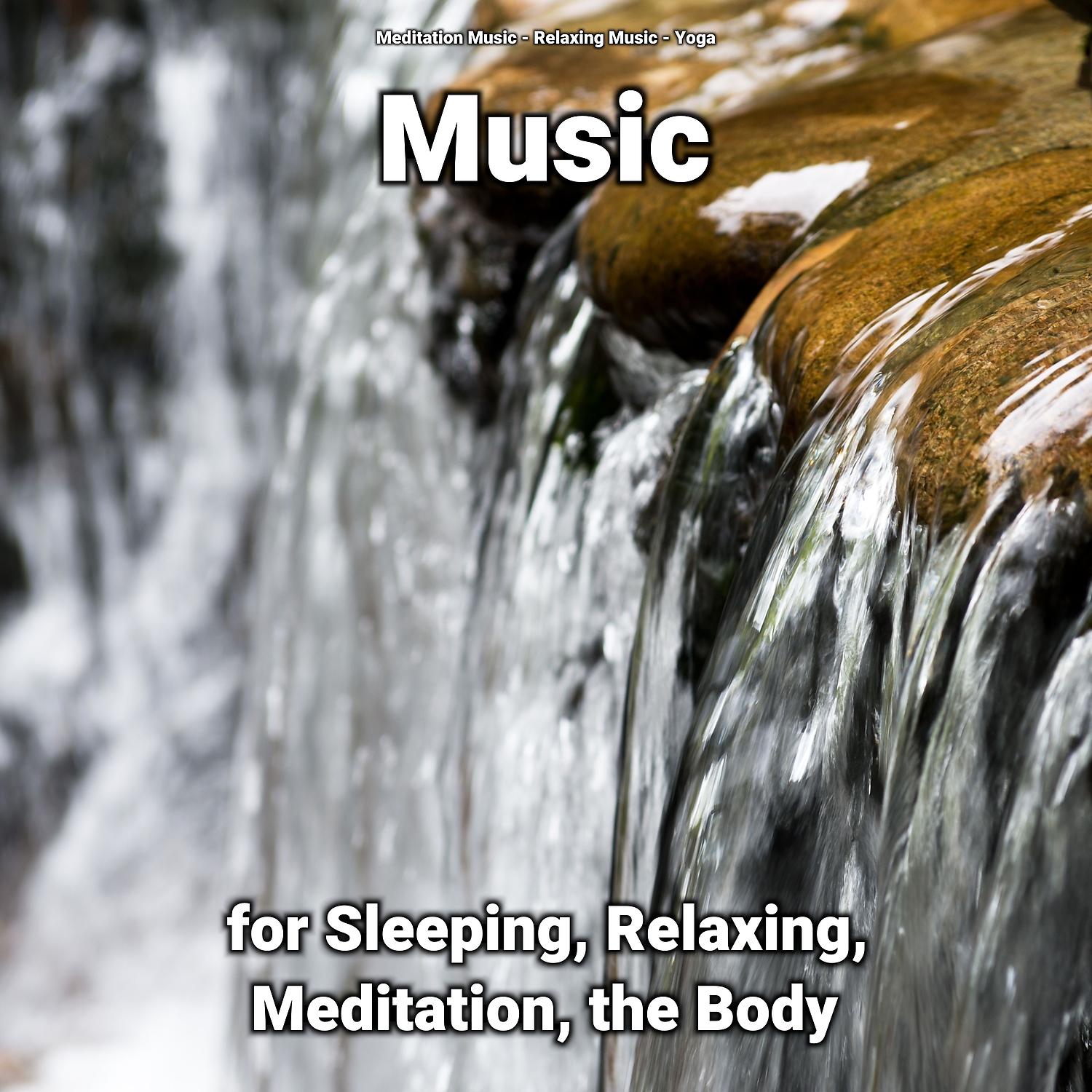 Постер альбома Music for Sleeping, Relaxing, Meditation, the Body