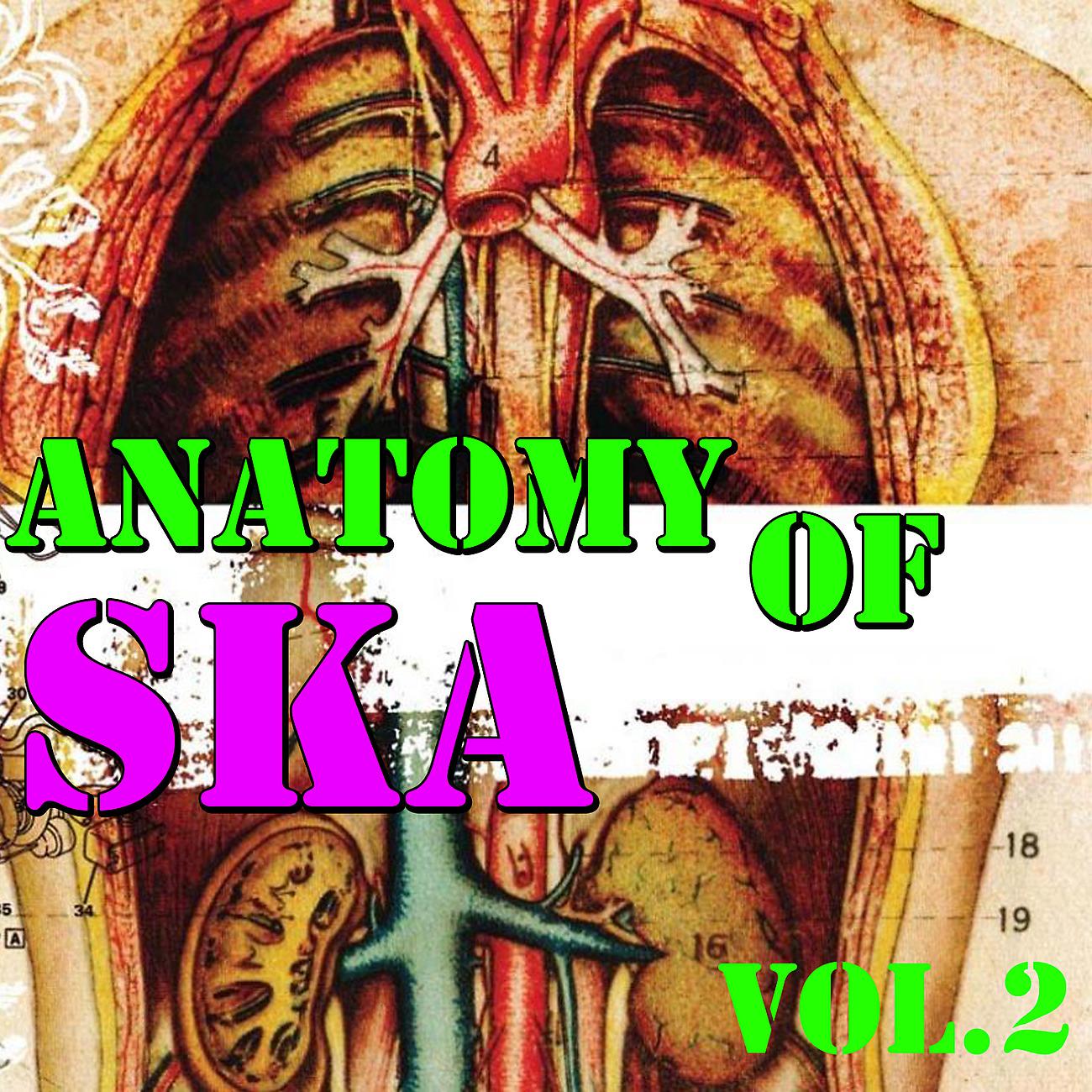 Постер альбома Anatomy Of Ska, Vol.2
