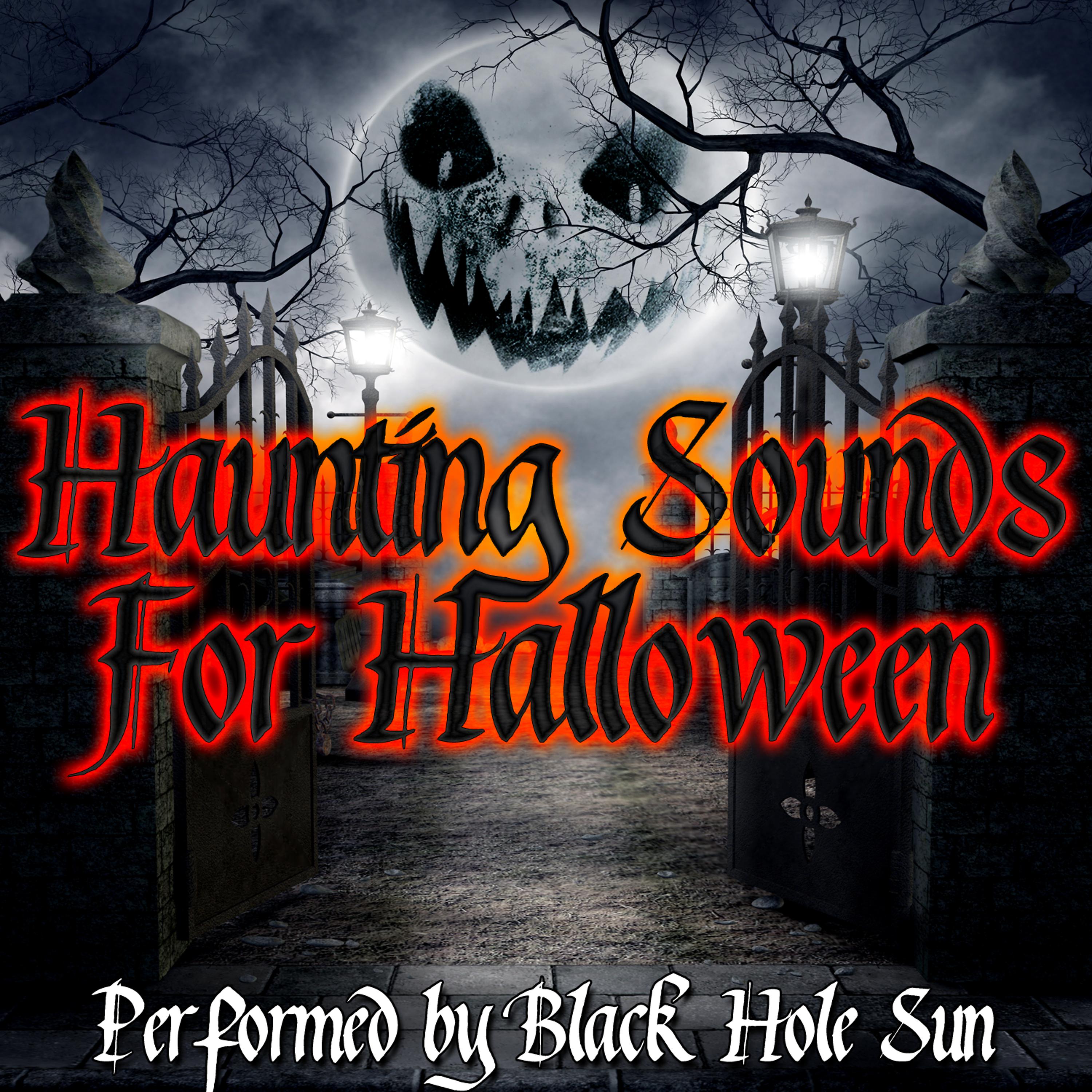 Постер альбома Haunting Sounds For Halloween