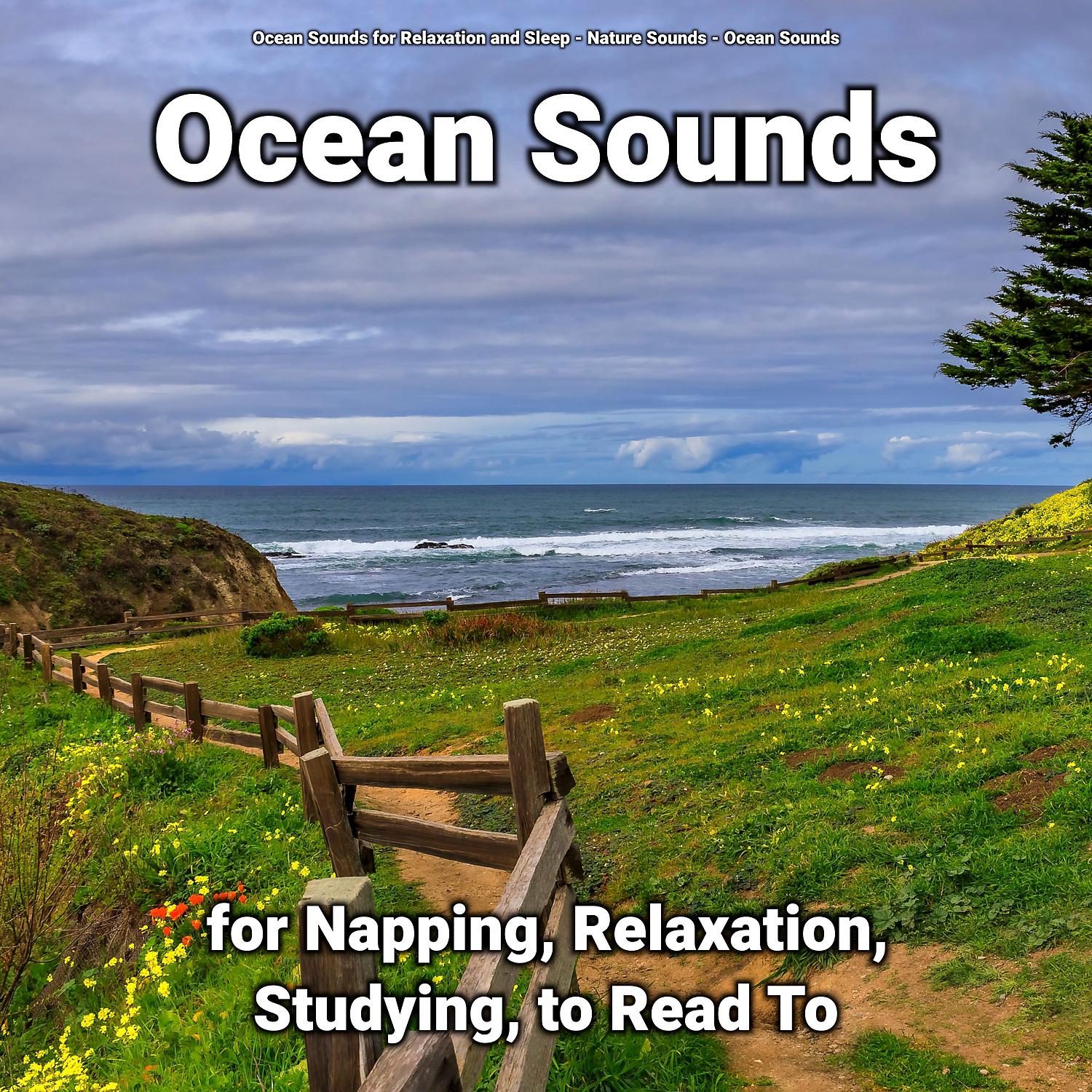 Постер альбома Ocean Sounds for Napping, Relaxation, Studying, to Read To