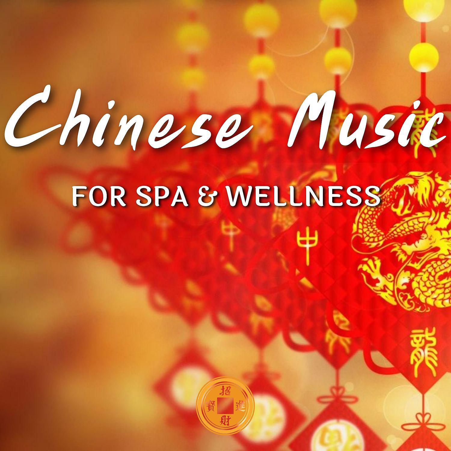 Постер альбома Chinese Music for Spa & Wellness