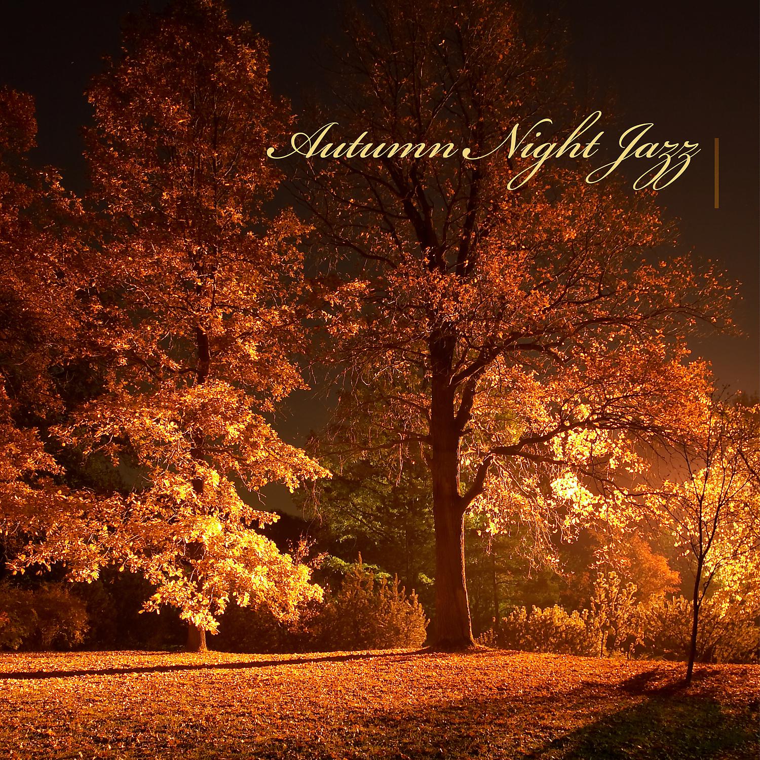 Постер альбома Autumn Night Jazz: Calm Background Cafe Music