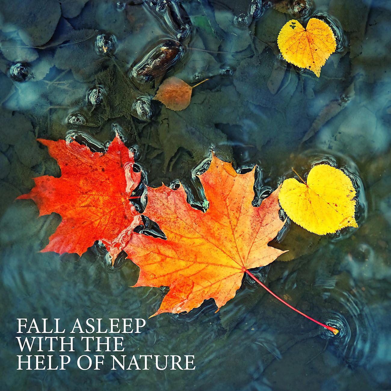Постер альбома Fall Asleep with the Help of Nature