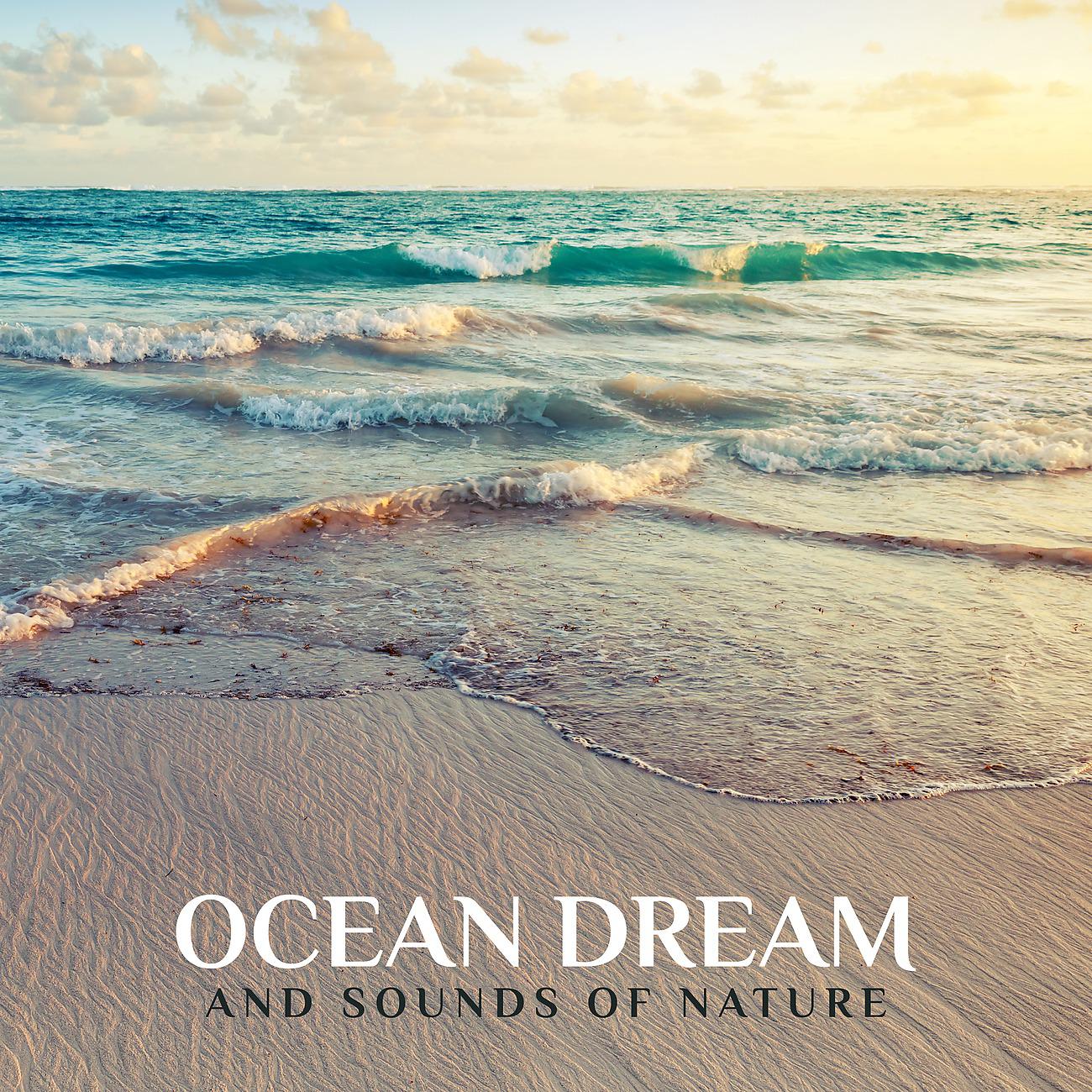 Постер альбома Ocean Dream and Sounds of Nature