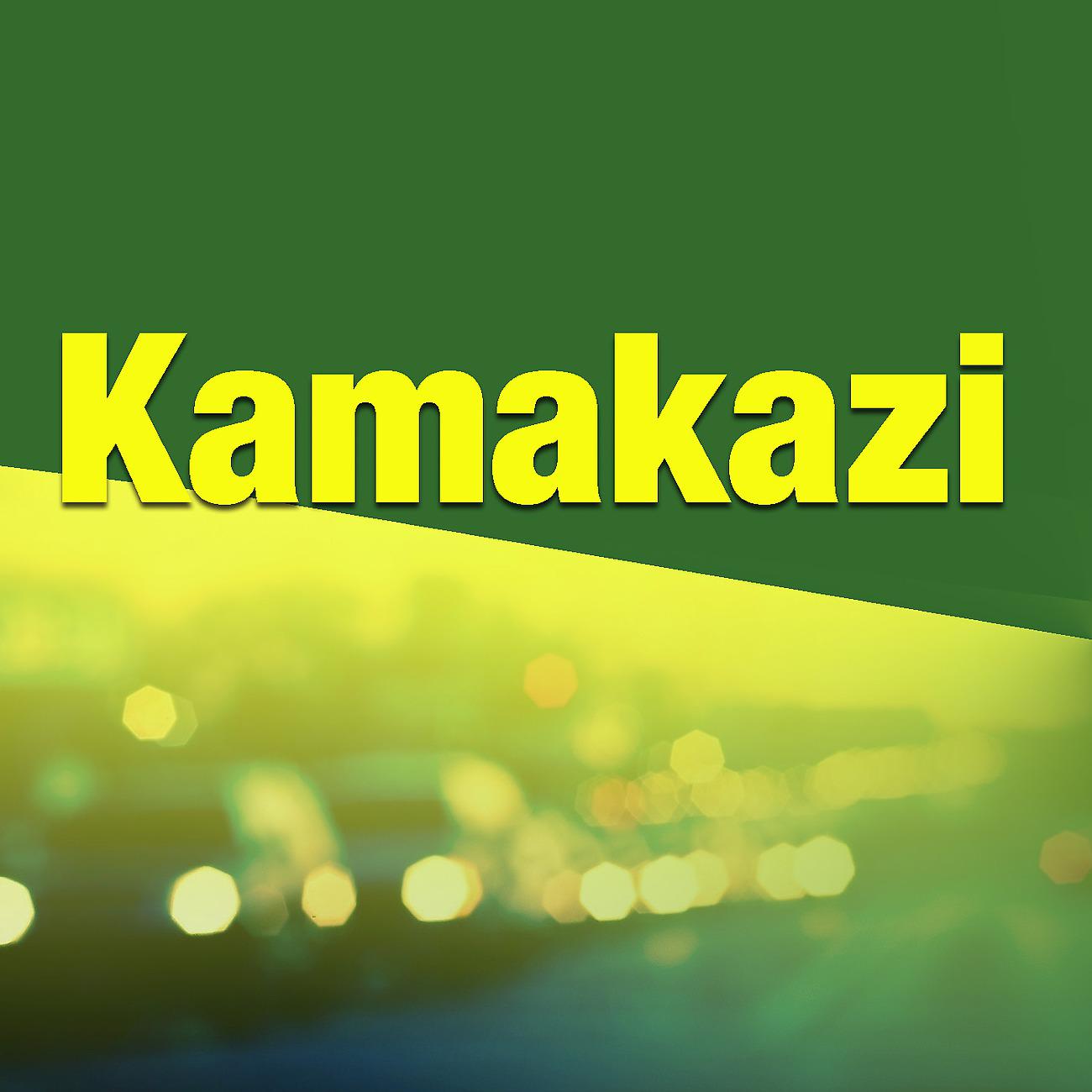 Постер альбома Kamakazi
