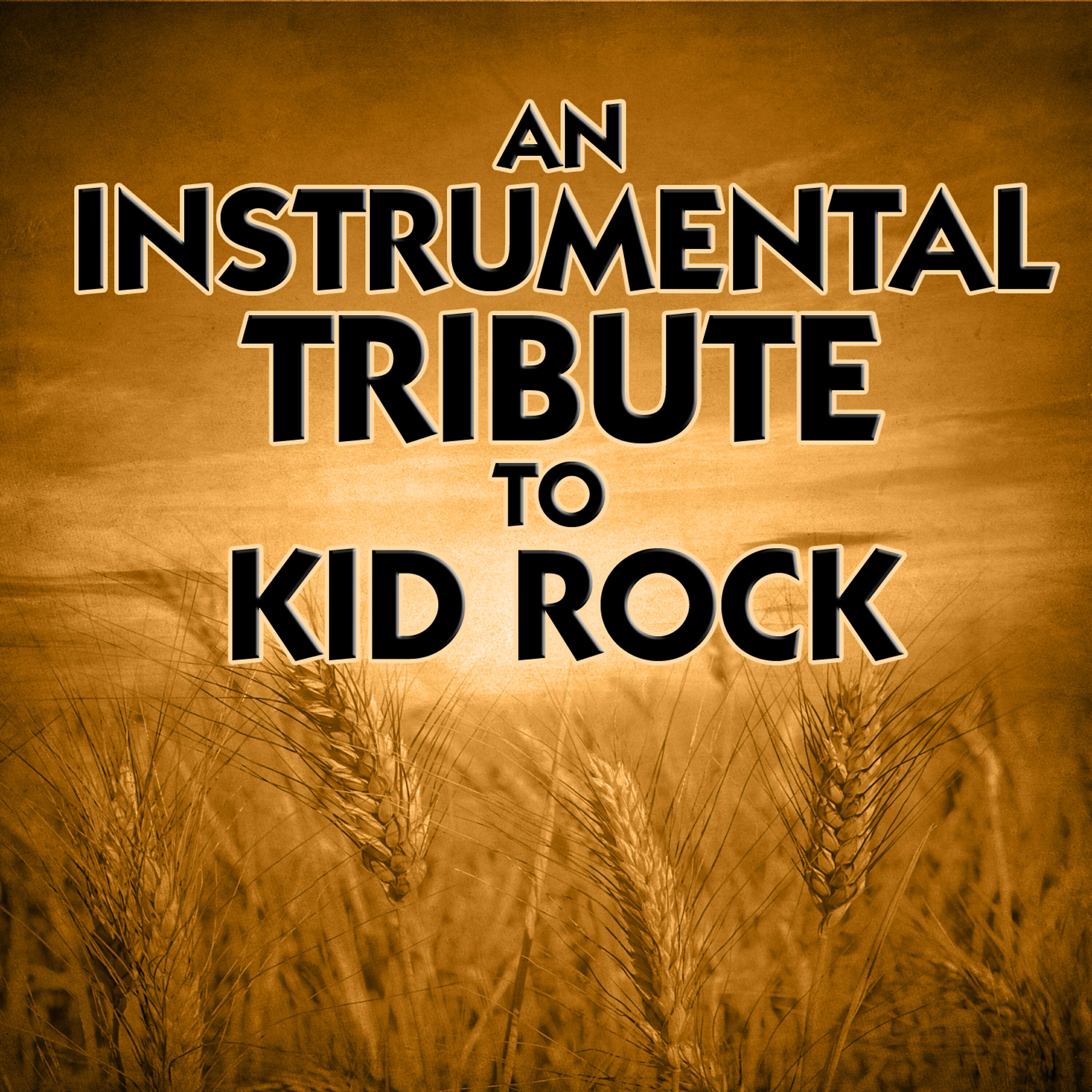 The Tribute Crew - Born 2 B A Hick