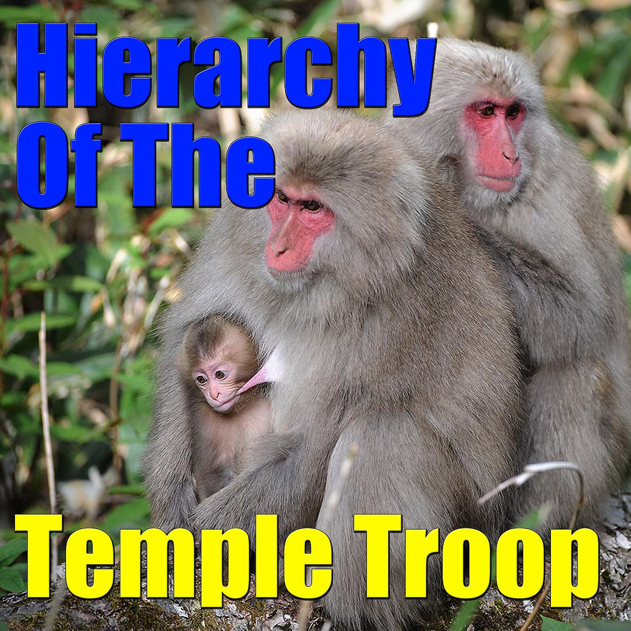 Постер альбома Hierarchy Of The Temple Troop