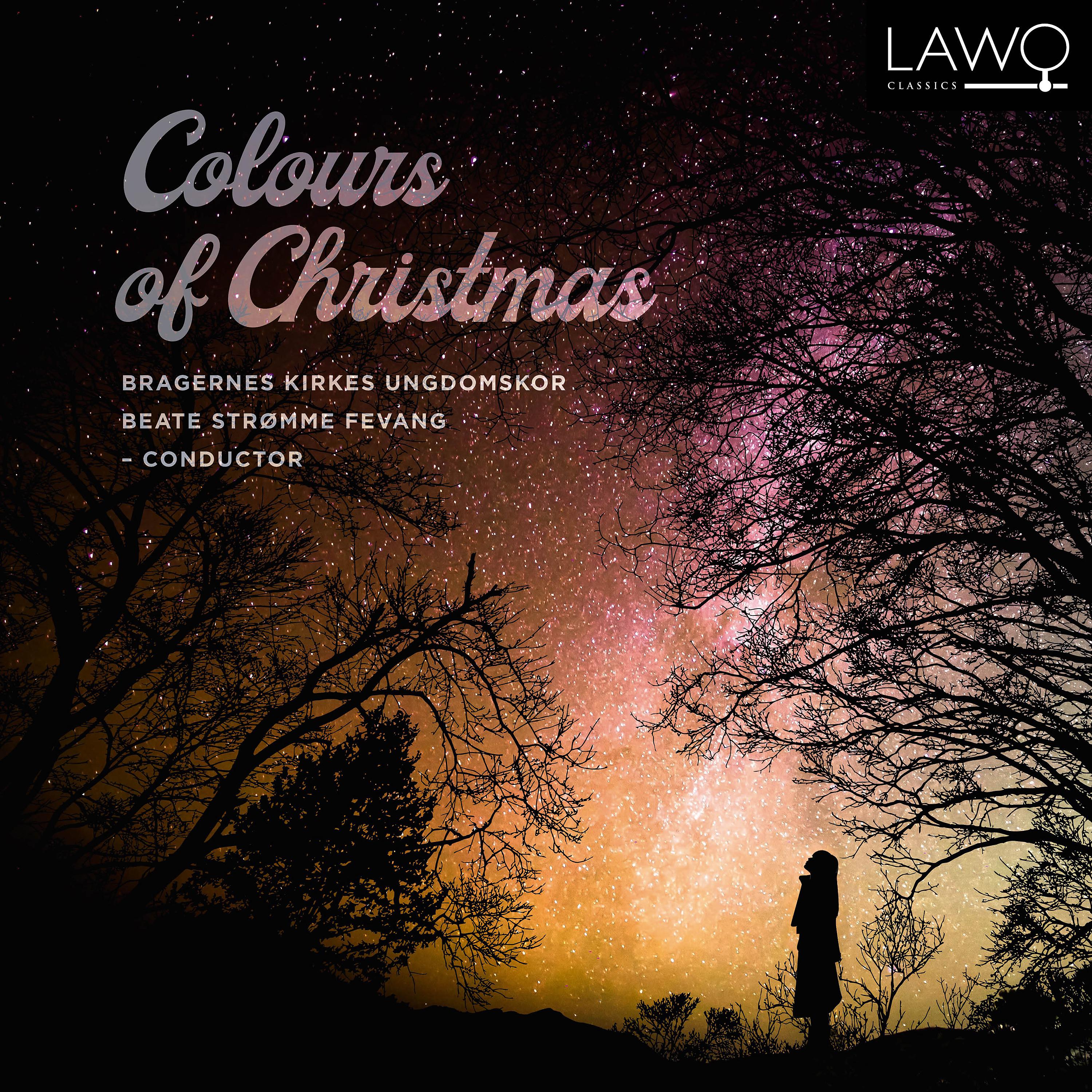 Постер альбома Colours of Christmas