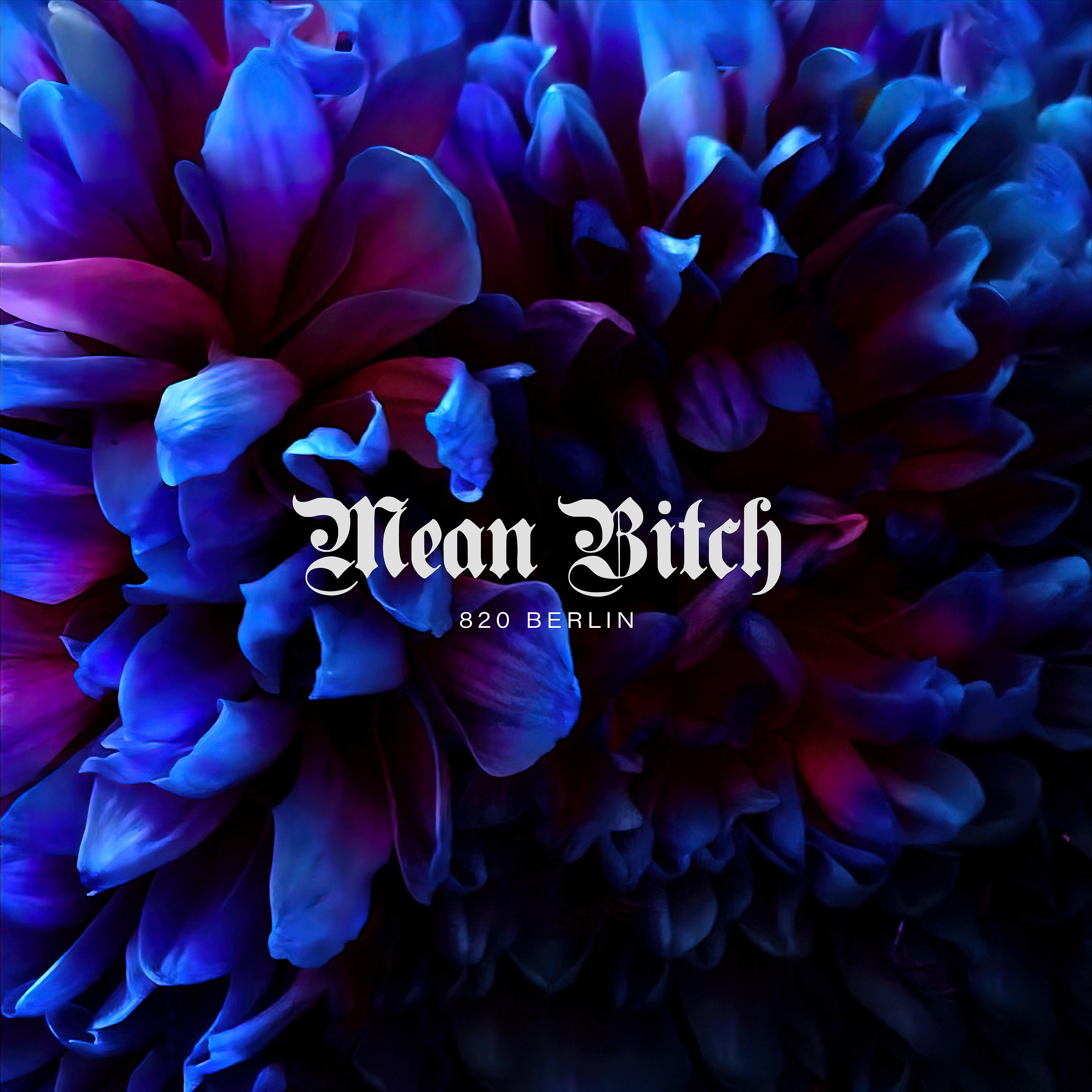 Постер альбома Mean Bitch
