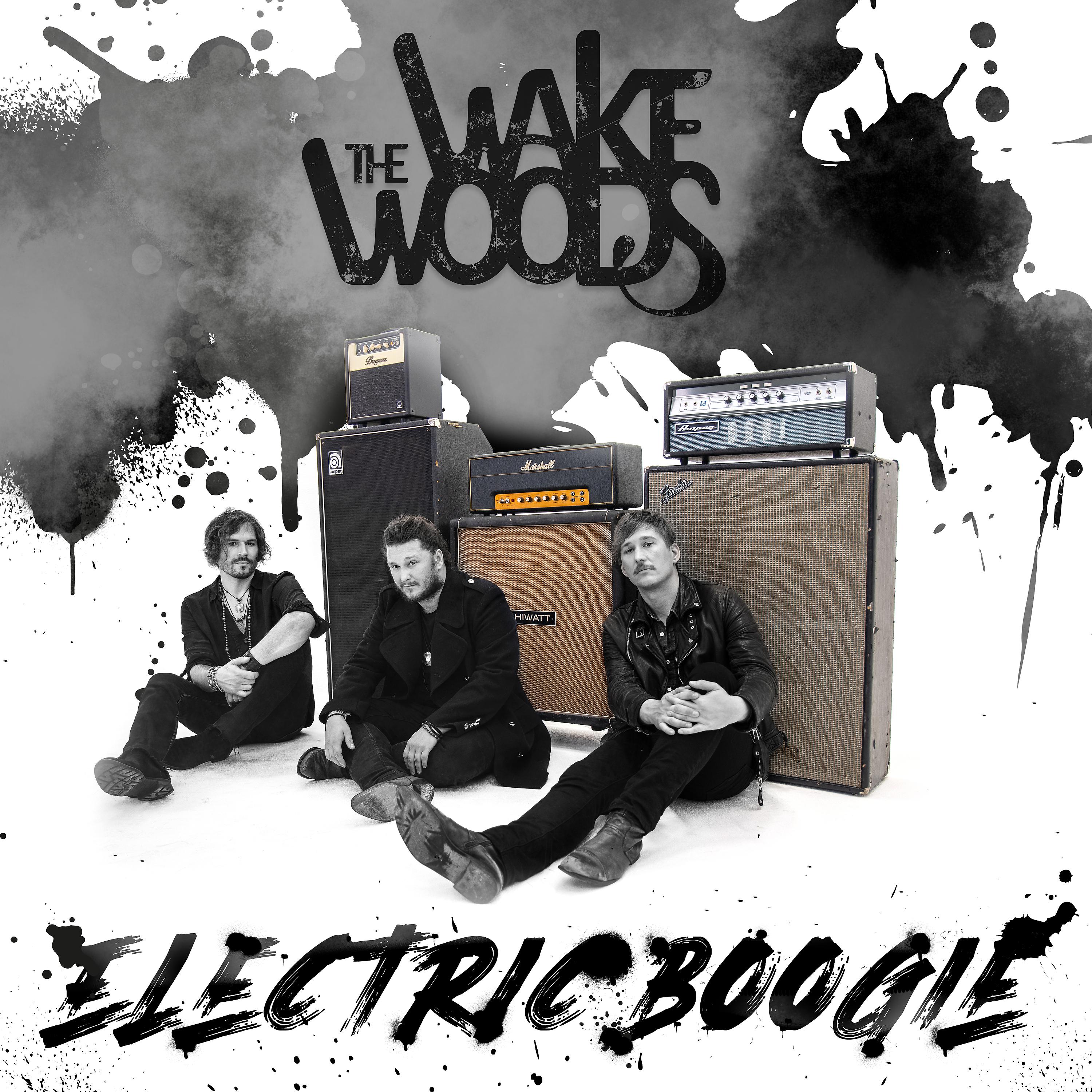 Постер альбома Electric Boogie