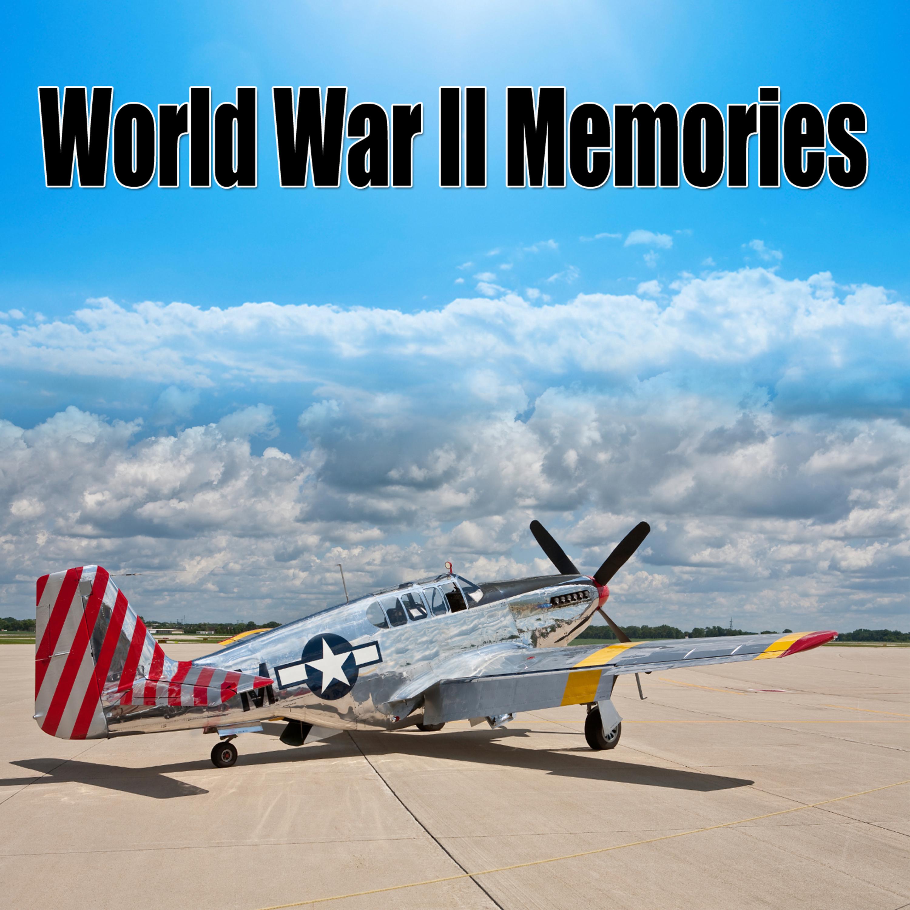 Постер альбома World War II Memories