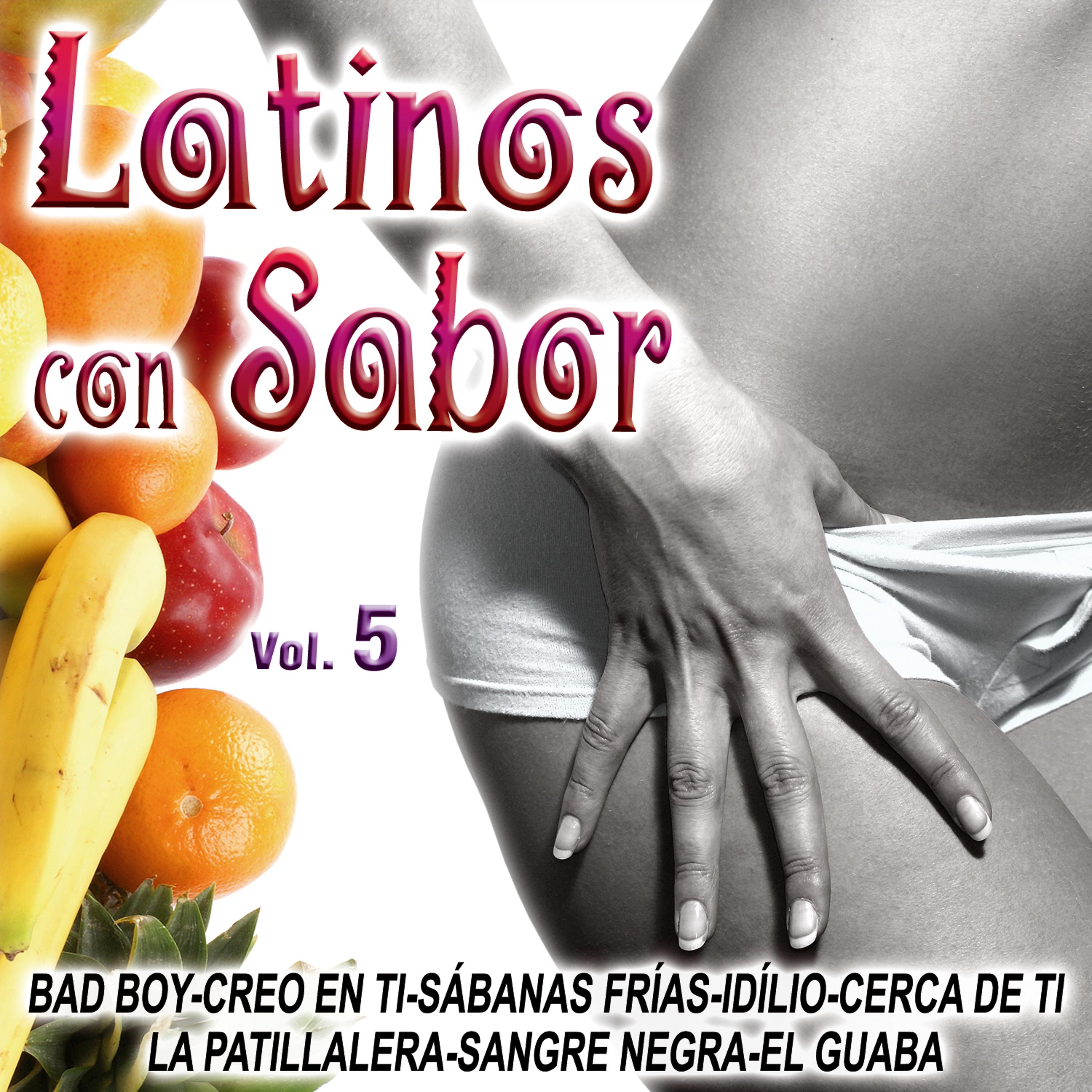 Постер альбома Latinos Con Sabor Vol.5