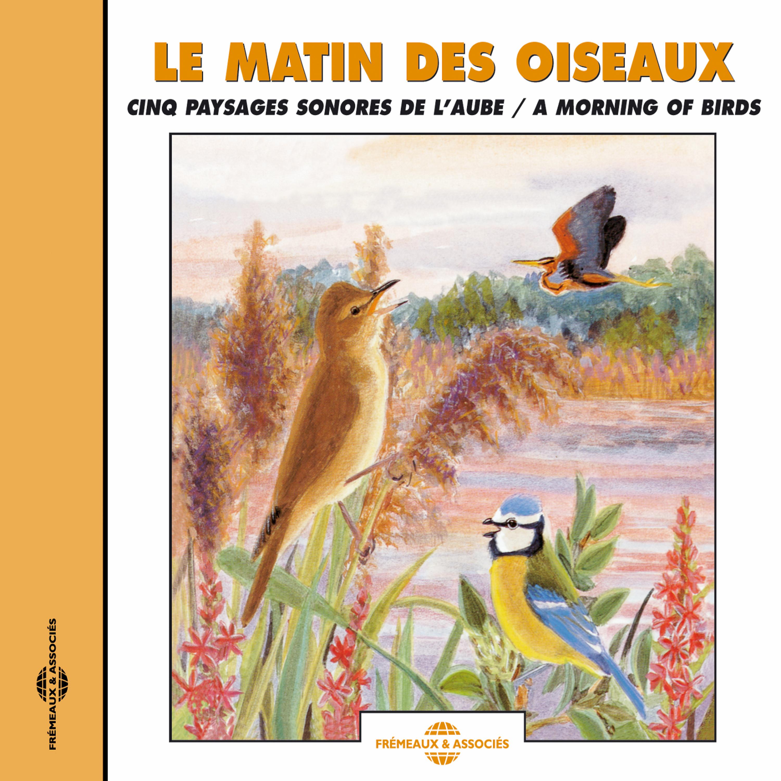 Постер альбома Le Matin Des Oiseaux