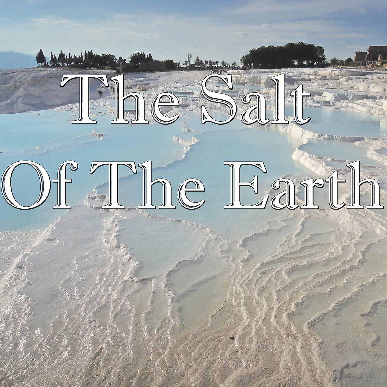 Постер альбома The Salt Of The Earth