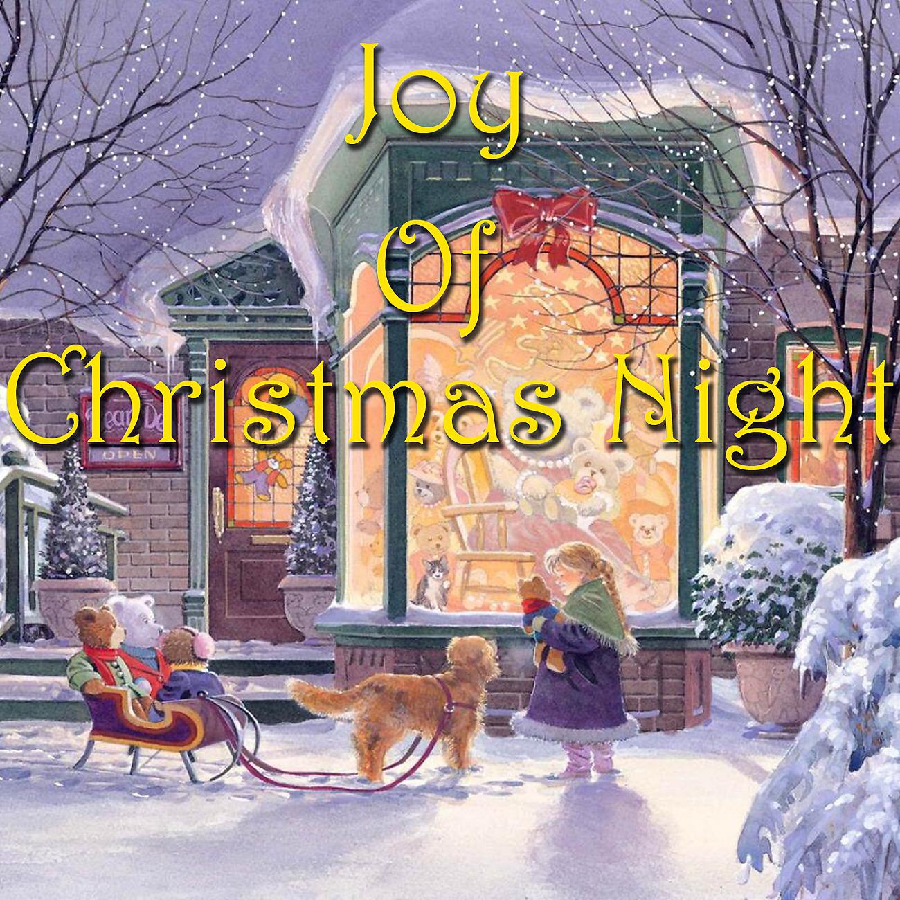 Постер альбома Joy Of Christmas Night