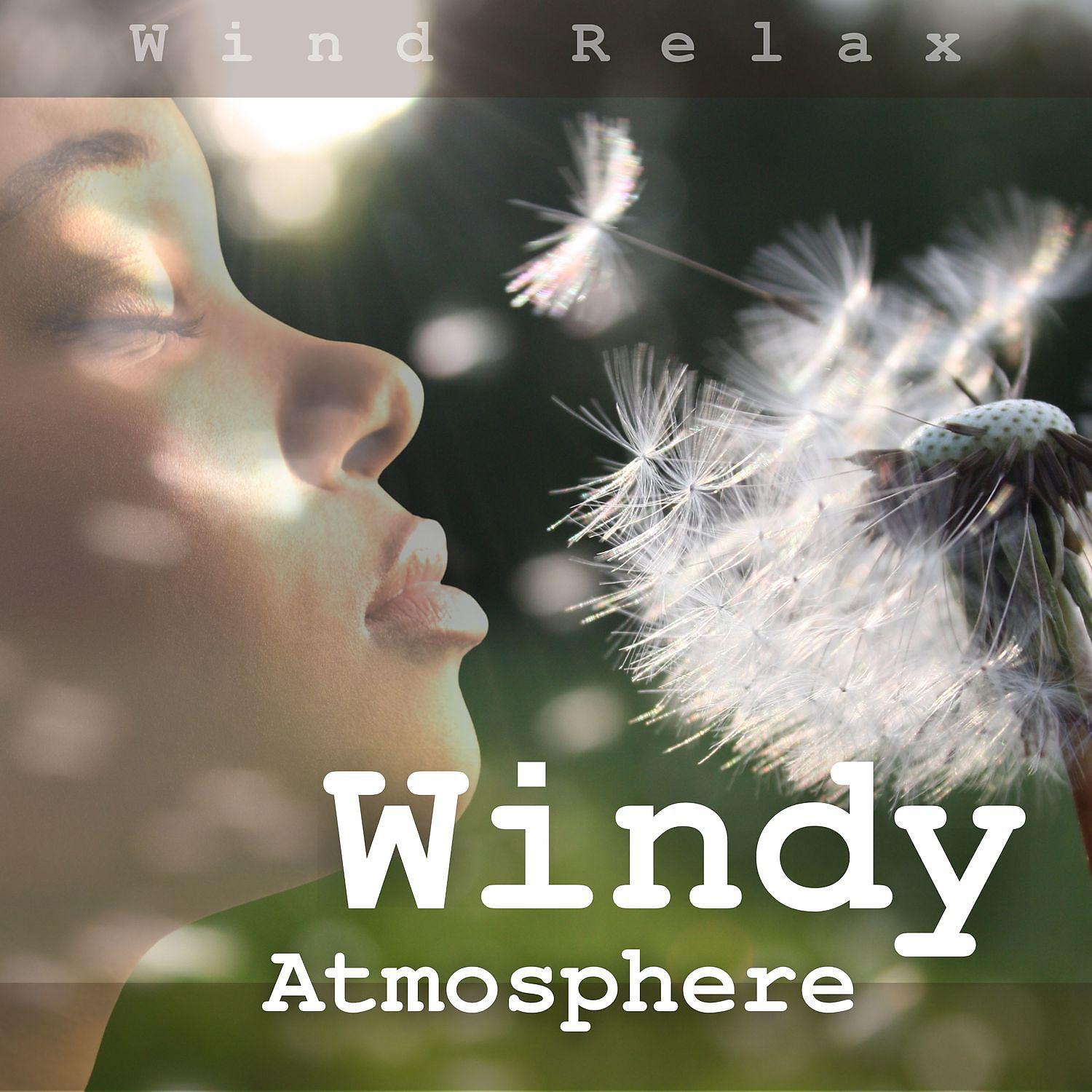 Постер альбома Windy Atmosphere