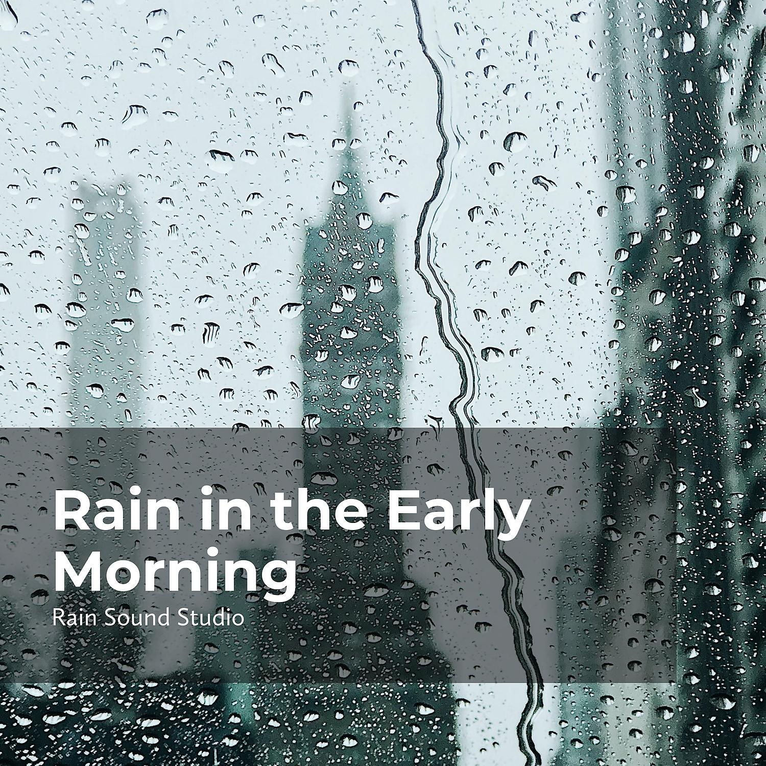 Постер альбома Rain in the Early Morning