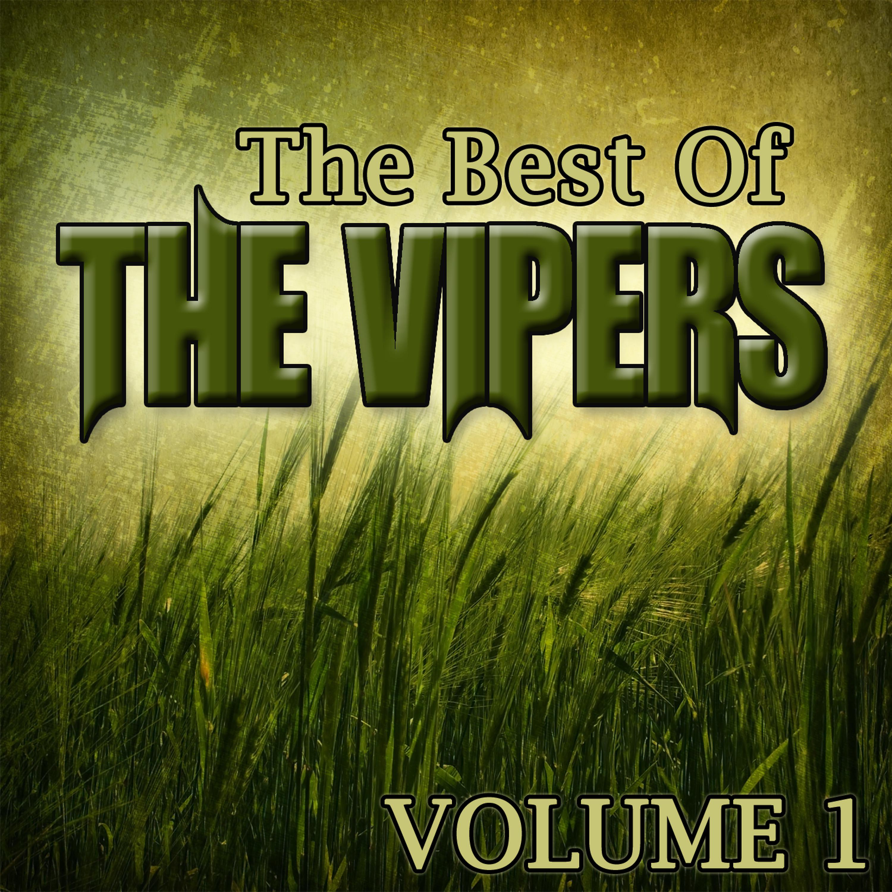 Постер альбома The Best Of The Vipers Volume 1