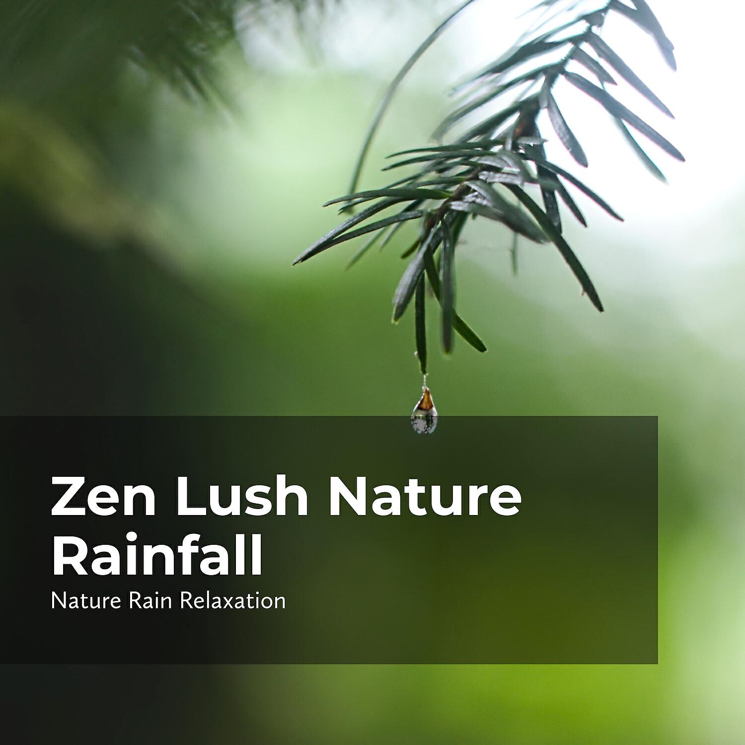 Rain Recorders - Gentle Rain in Nature