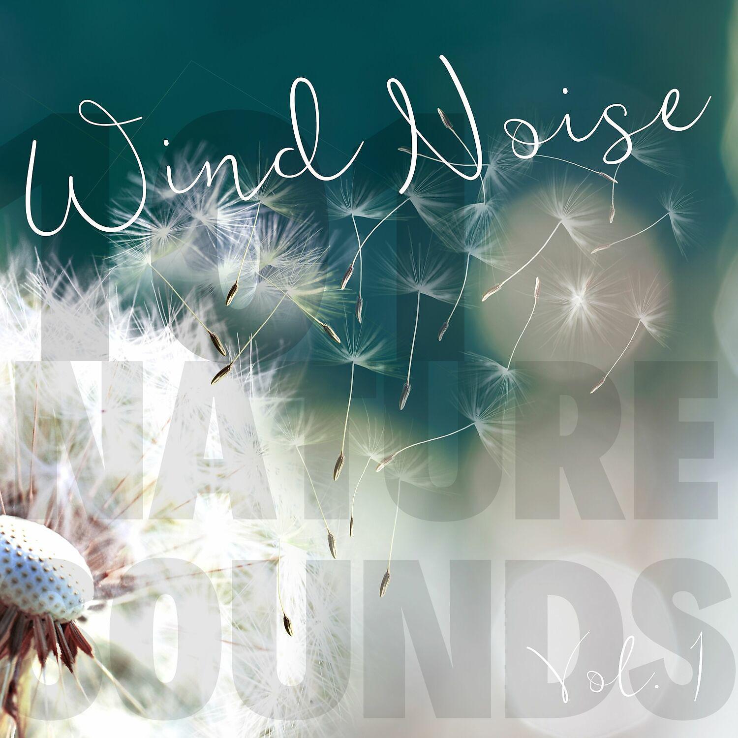 Постер альбома Wind Noise Vol. 1