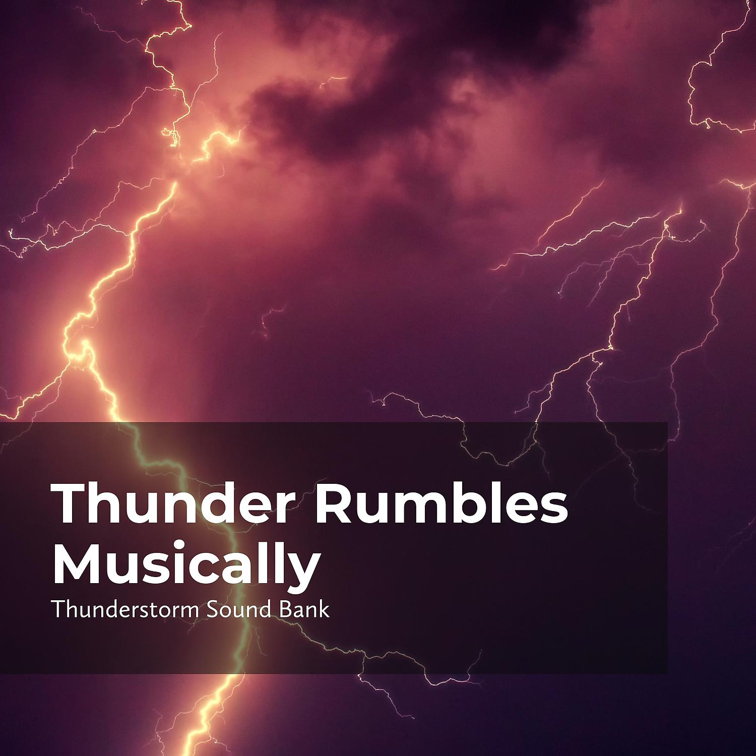 Постер альбома Thunder Rumbles Musically